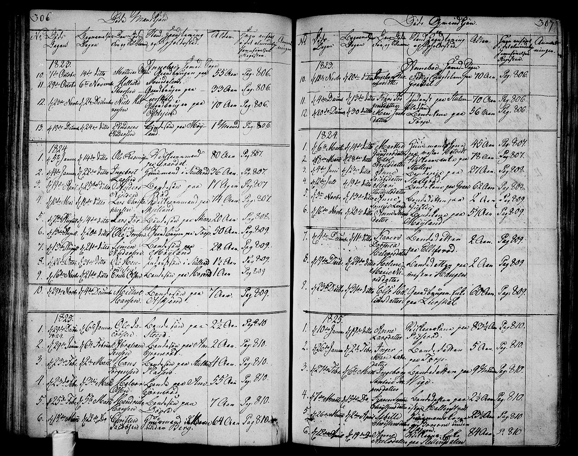 Andebu kirkebøker, AV/SAKO-A-336/F/Fa/L0003: Parish register (official) no. 3 /1, 1803-1828, p. 306-307