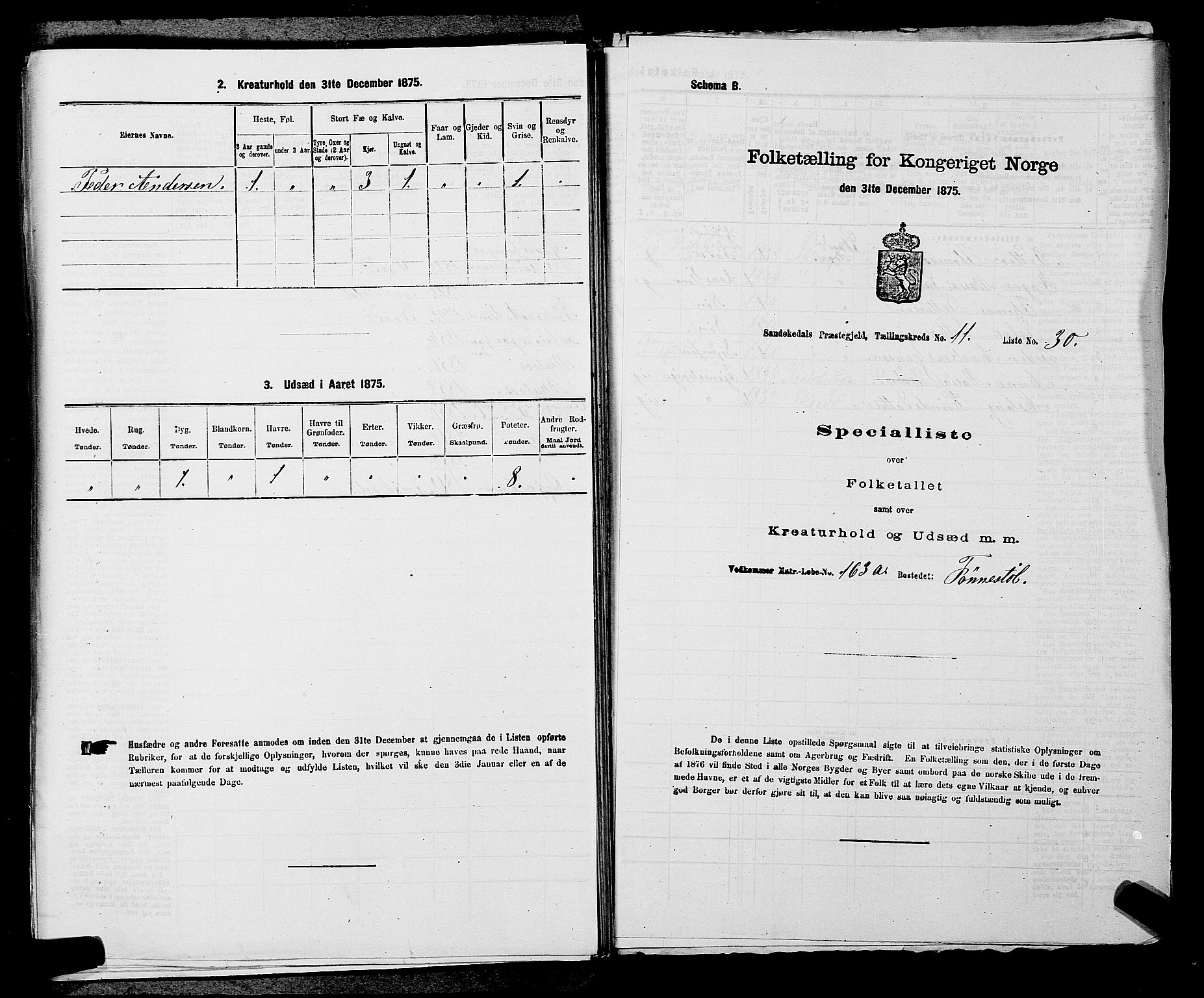 SAKO, 1875 census for 0816P Sannidal, 1875, p. 805