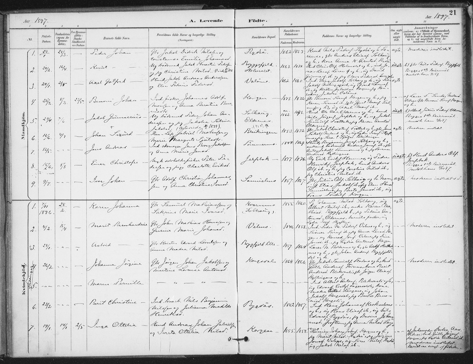 Ministerialprotokoller, klokkerbøker og fødselsregistre - Nordland, AV/SAT-A-1459/826/L0380: Parish register (official) no. 826A03, 1891-1911, p. 21