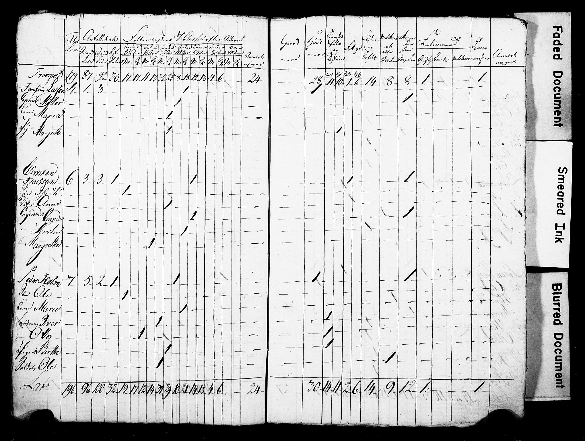 LOK, Census 1815 for Skien, 1815, p. 41