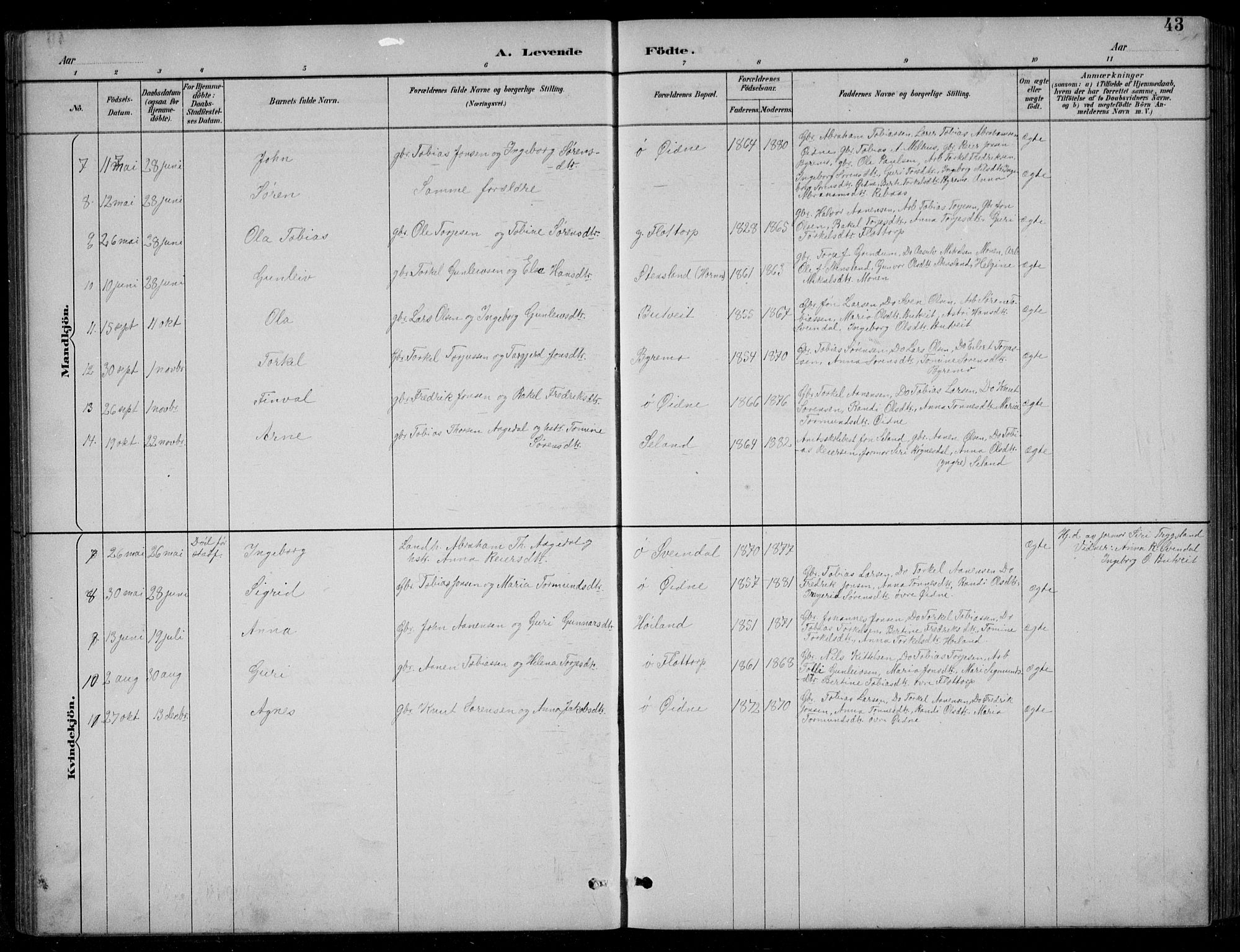 Bjelland sokneprestkontor, AV/SAK-1111-0005/F/Fb/Fbc/L0003: Parish register (copy) no. B 3, 1887-1924, p. 43