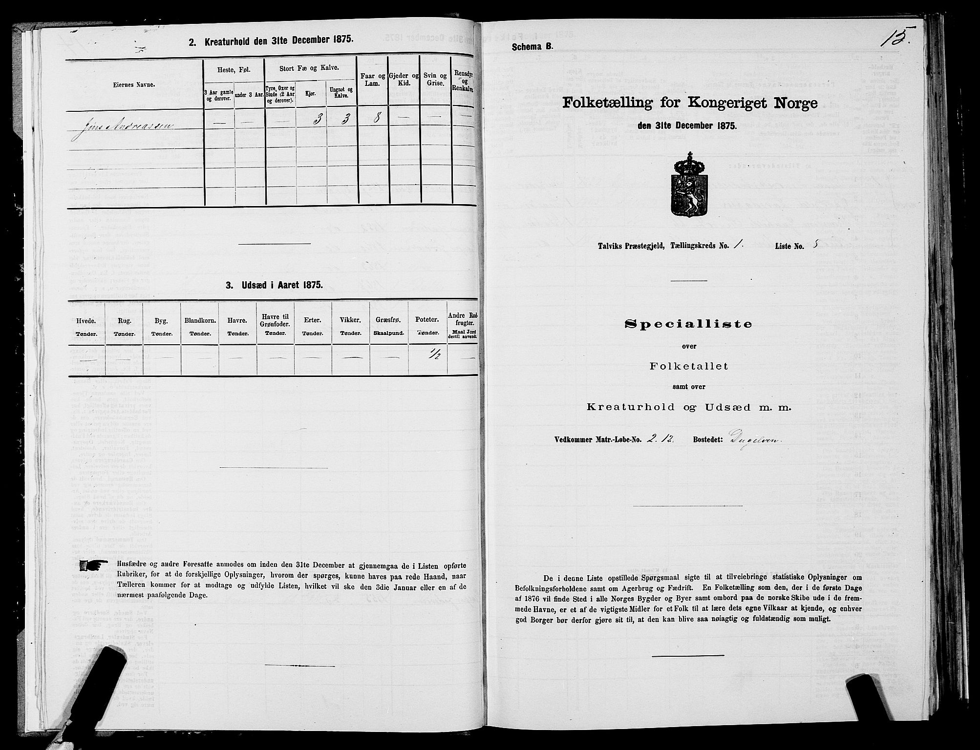 SATØ, 1875 census for 2013P Talvik, 1875, p. 1015