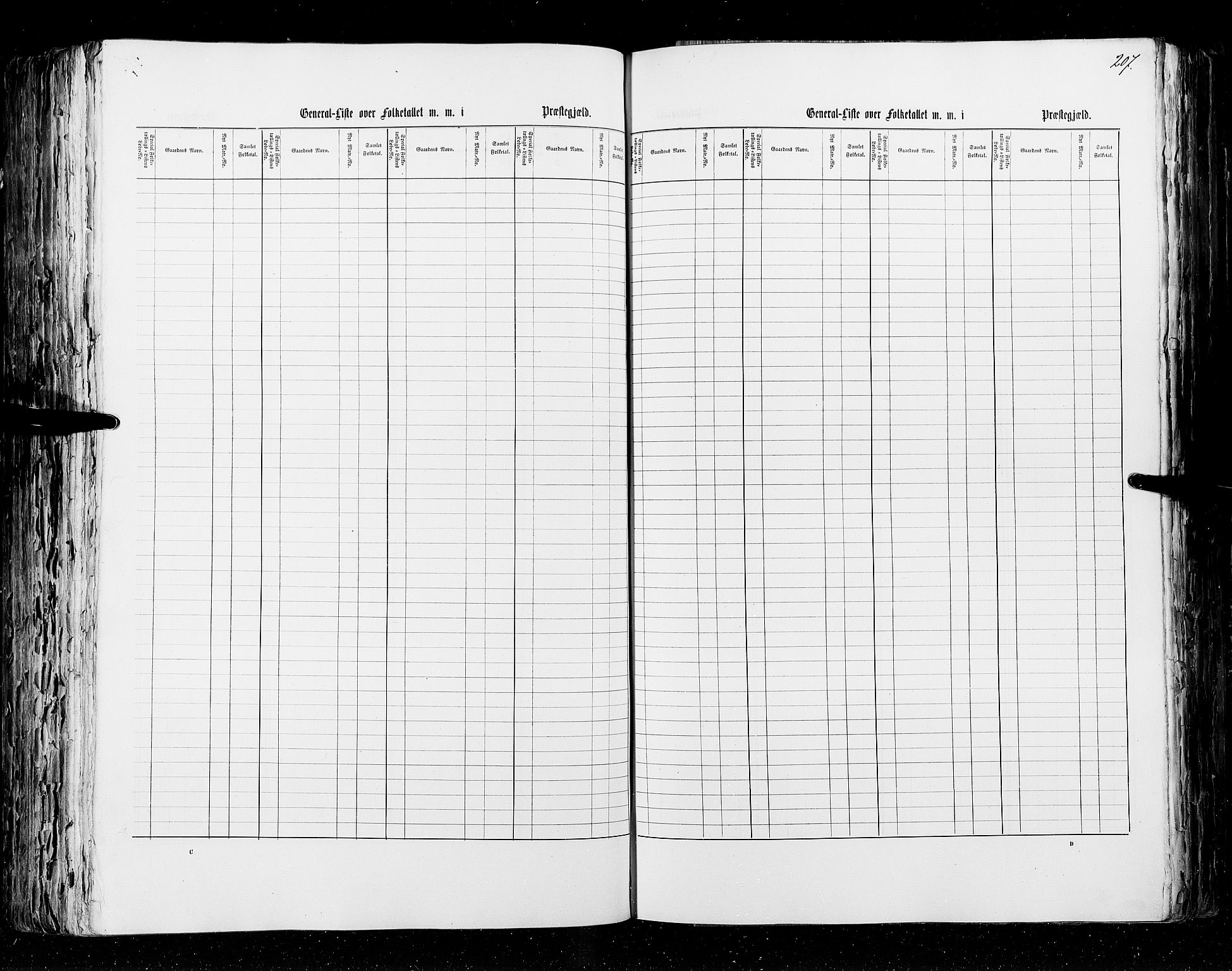 RA, Census 1855, vol. 2: Kristians amt, Buskerud amt og Jarlsberg og Larvik amt, 1855, p. 207