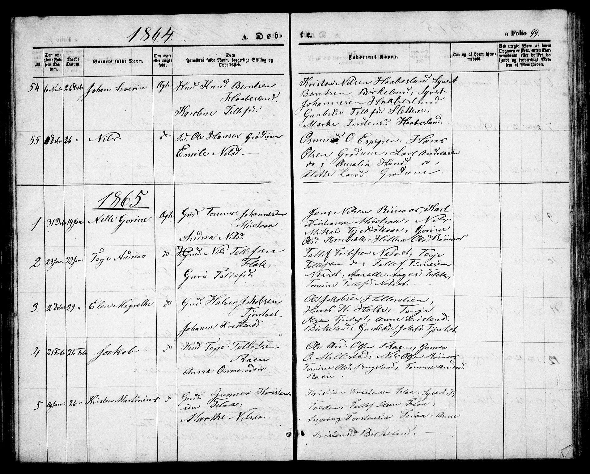 Birkenes sokneprestkontor, AV/SAK-1111-0004/F/Fb/L0002: Parish register (copy) no. B 2, 1849-1876, p. 99