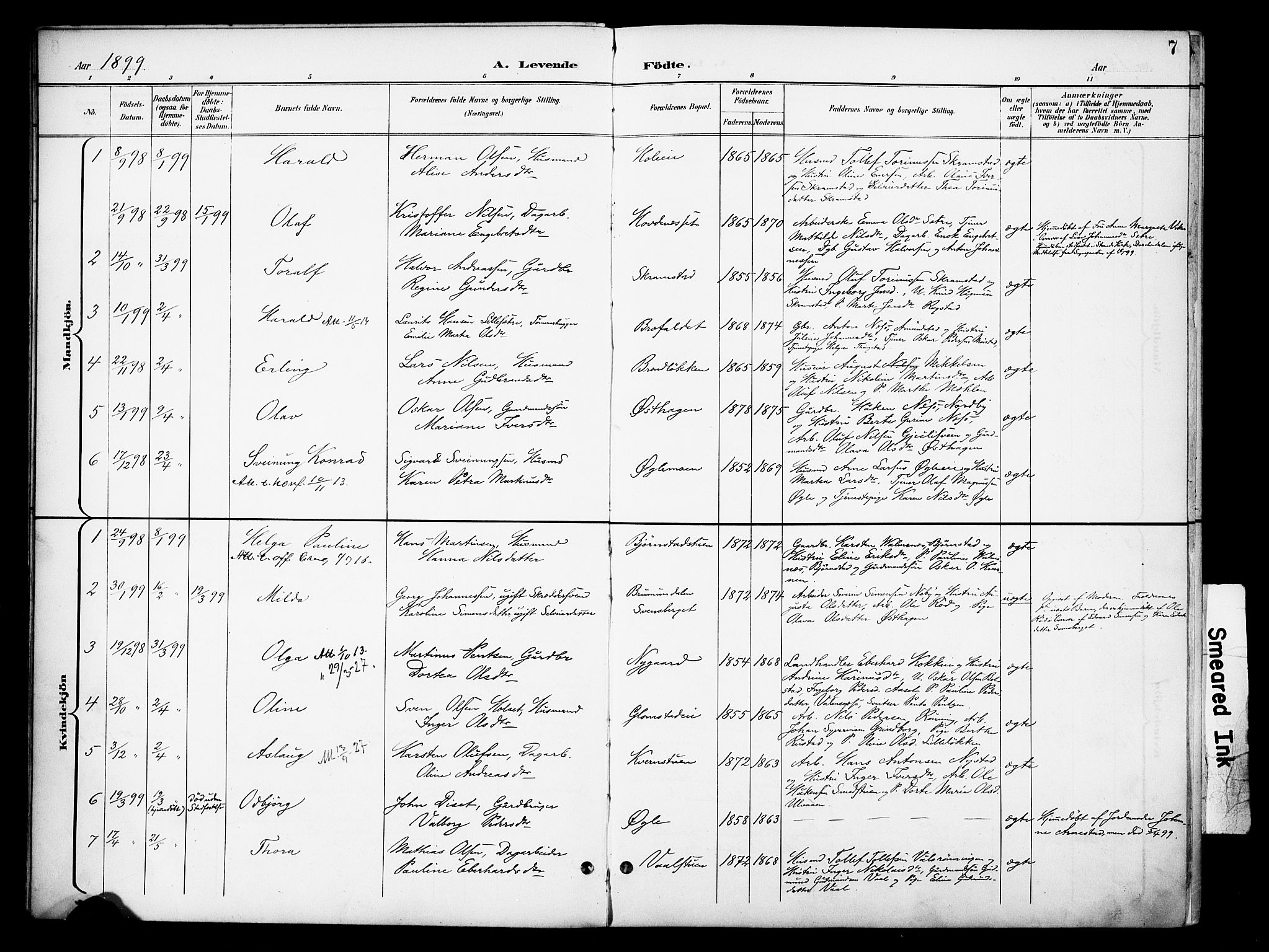 Åmot prestekontor, Hedmark, AV/SAH-PREST-056/H/Ha/Haa/L0013: Parish register (official) no. 13, 1898-1906, p. 7