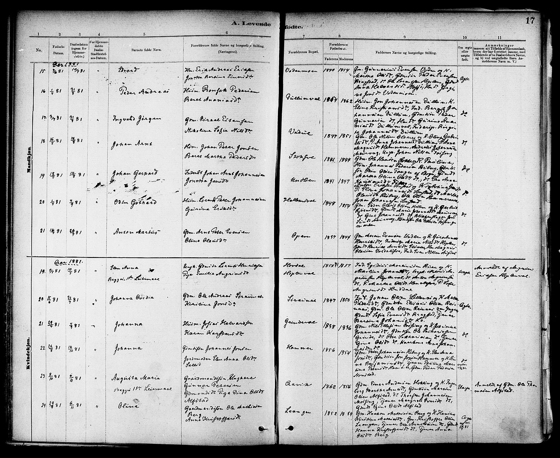 Ministerialprotokoller, klokkerbøker og fødselsregistre - Nord-Trøndelag, AV/SAT-A-1458/714/L0130: Parish register (official) no. 714A01, 1878-1895, p. 17