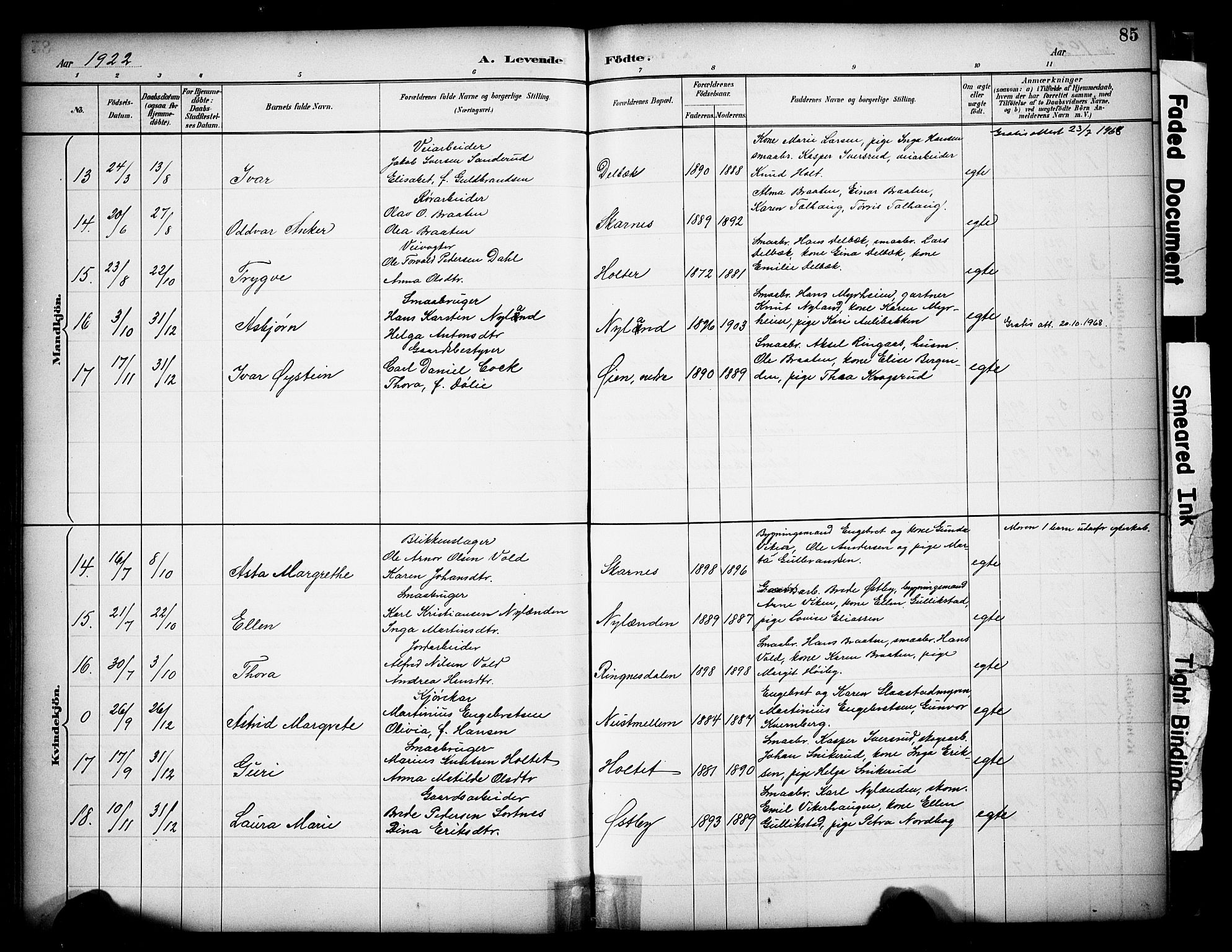 Sør-Odal prestekontor, AV/SAH-PREST-030/H/Ha/Haa/L0009: Parish register (official) no. 9, 1886-1926, p. 85