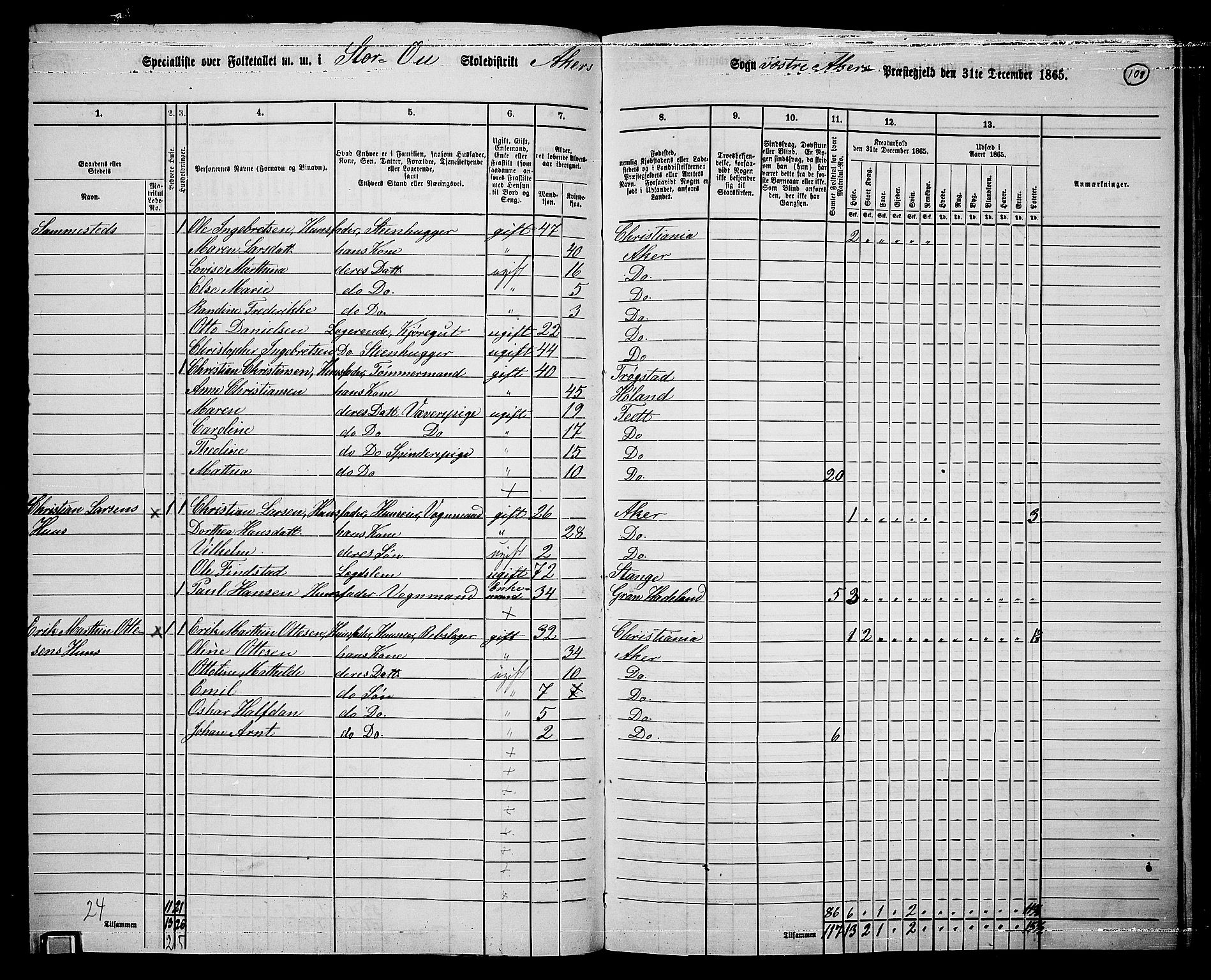 RA, 1865 census for Vestre Aker, 1865, p. 276