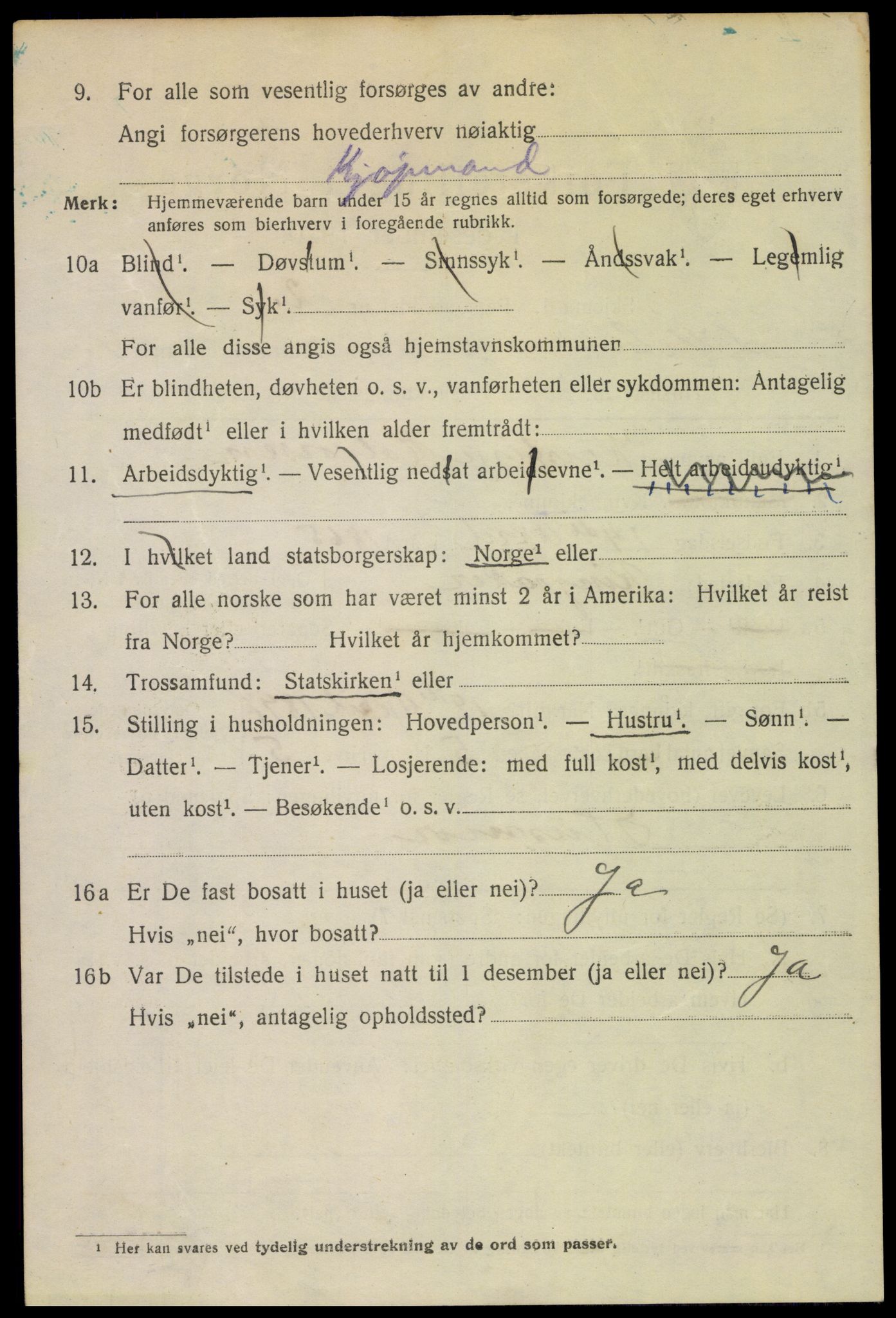 SAH, 1920 census for Lillehammer, 1920, p. 11677