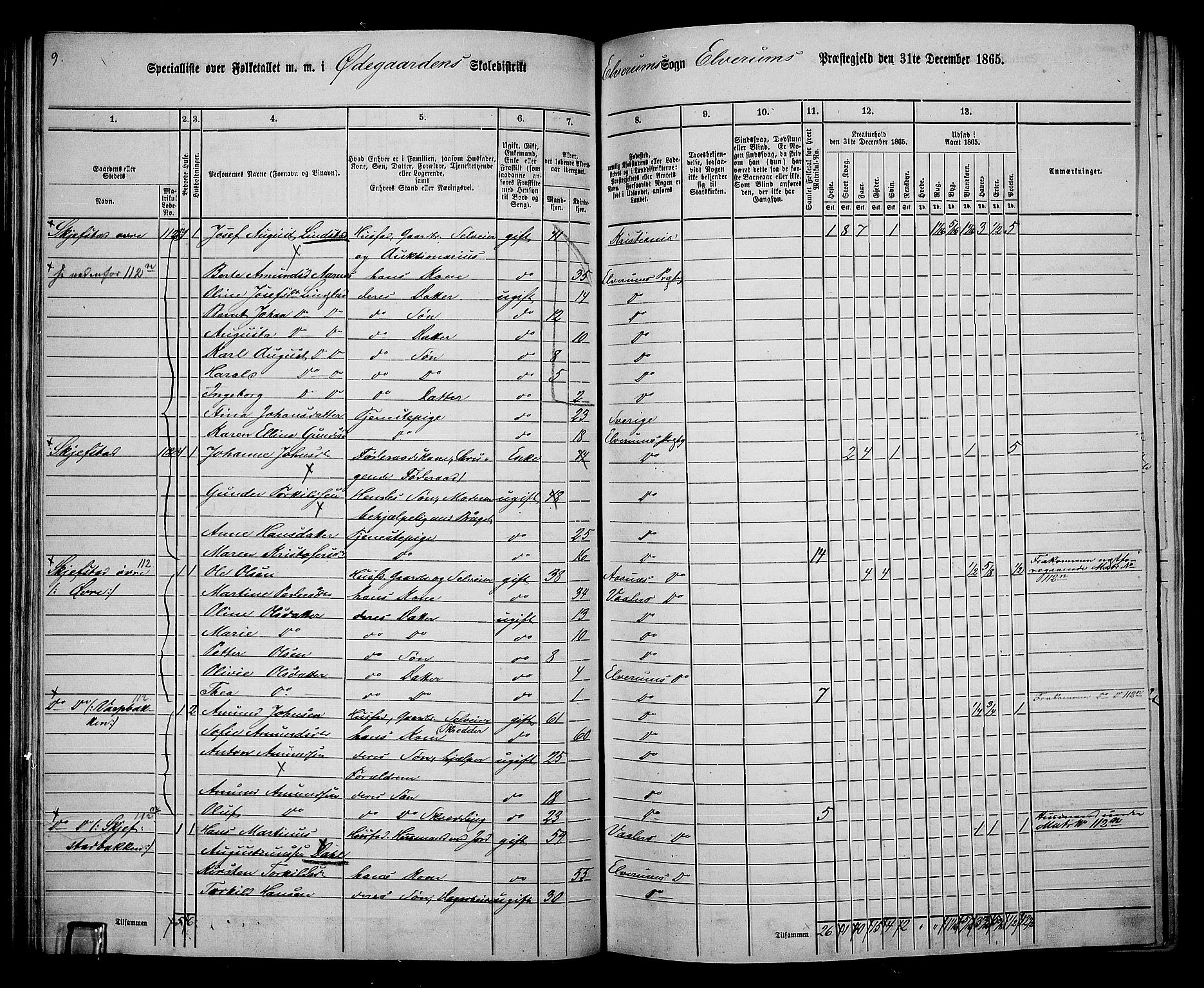 RA, 1865 census for Elverum, 1865, p. 64