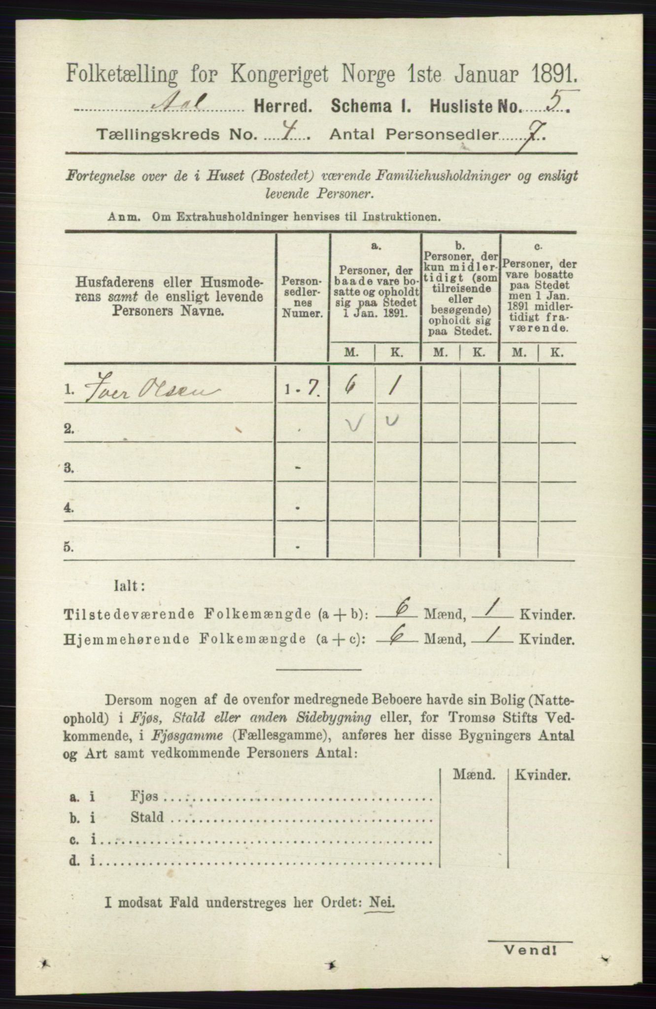 RA, 1891 census for 0619 Ål, 1891, p. 985