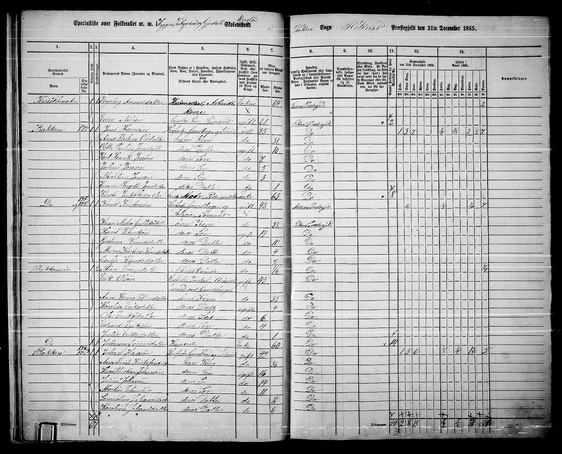 RA, 1865 census for Røyken, 1865, p. 24