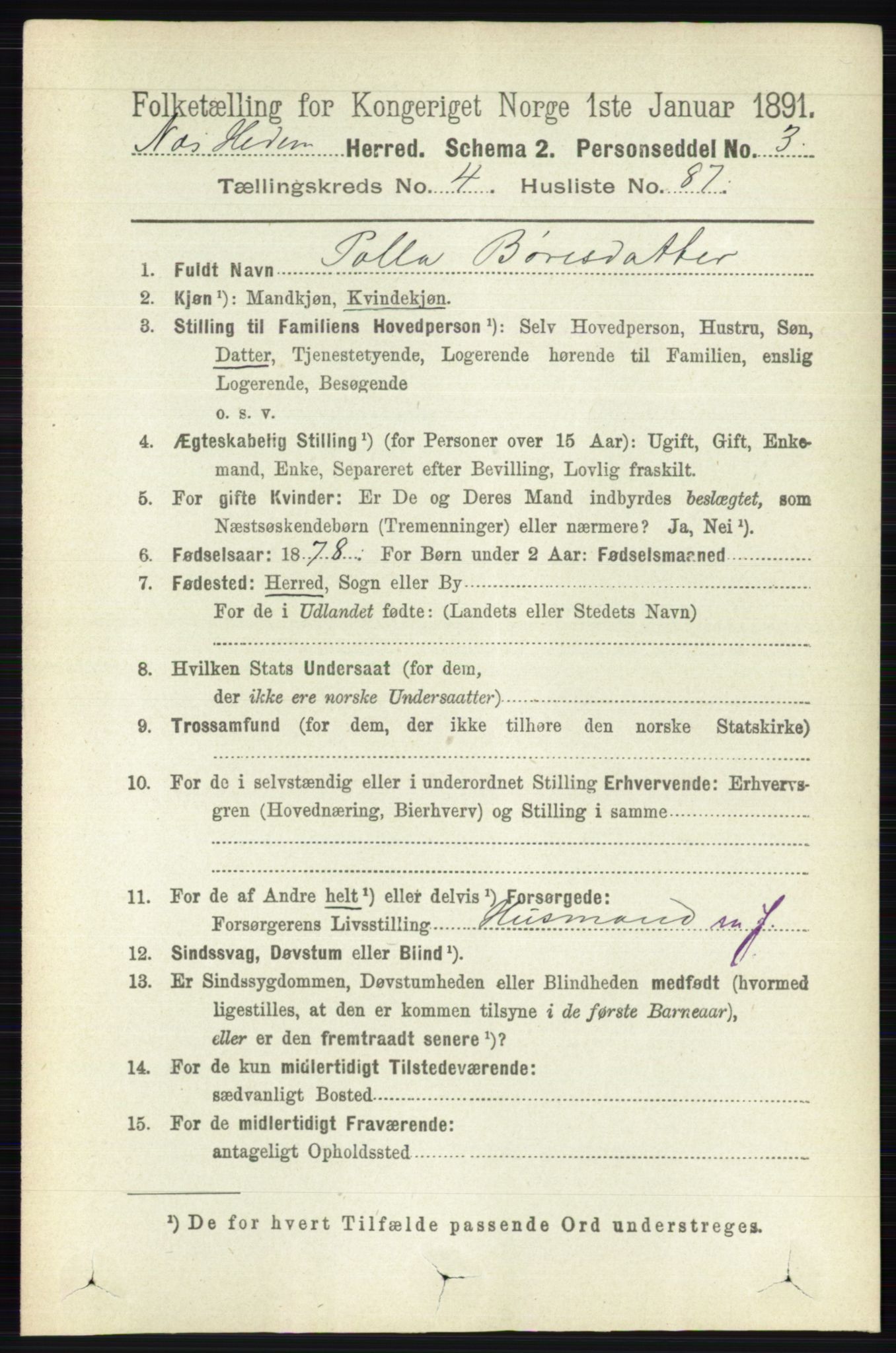 RA, 1891 census for 0411 Nes, 1891, p. 2505