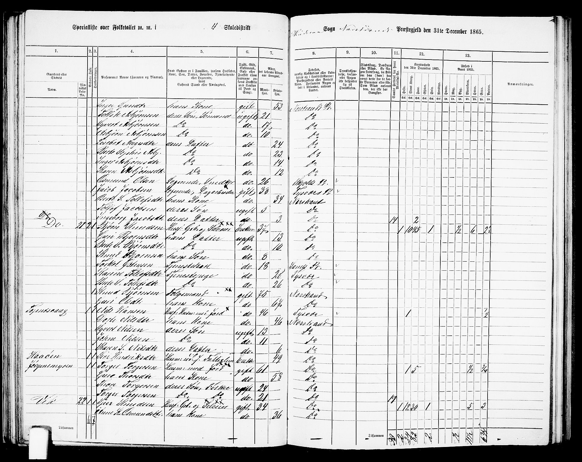 RA, 1865 census for Nedstrand, 1865, p. 61