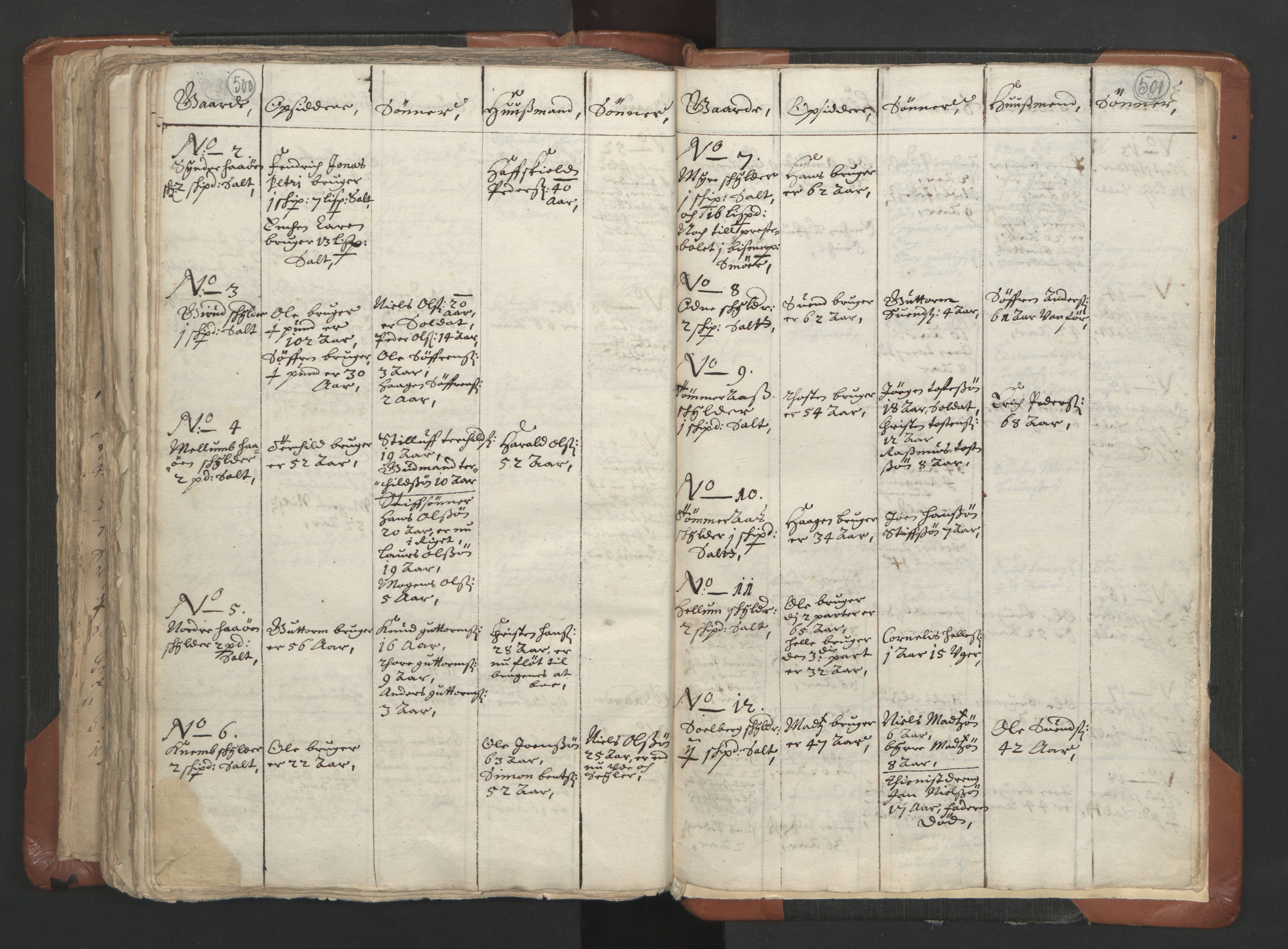 RA, Vicar's Census 1664-1666, no. 9: Bragernes deanery, 1664-1666, p. 500-501