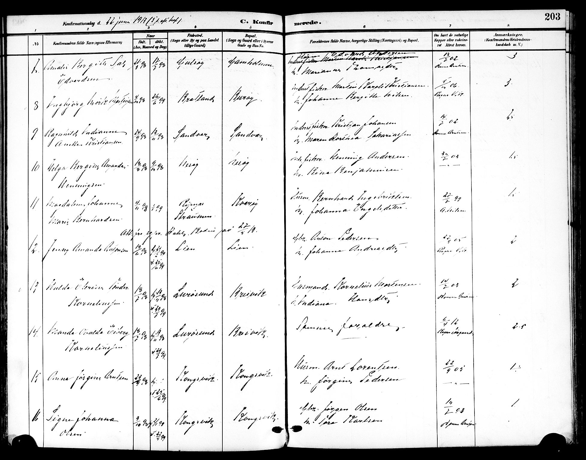 Ministerialprotokoller, klokkerbøker og fødselsregistre - Nordland, AV/SAT-A-1459/839/L0569: Parish register (official) no. 839A06, 1903-1922, p. 203