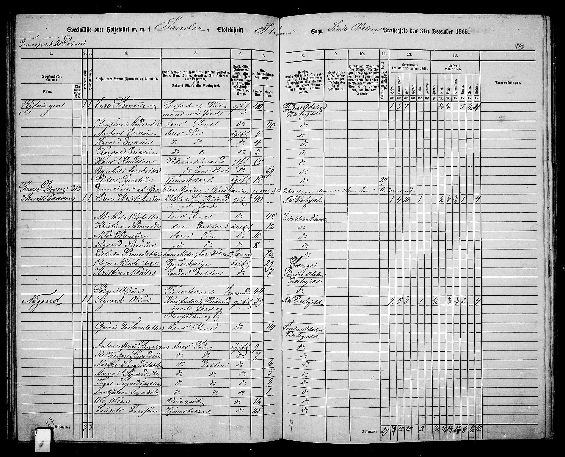 RA, 1865 census for Sør-Odal, 1865, p. 153