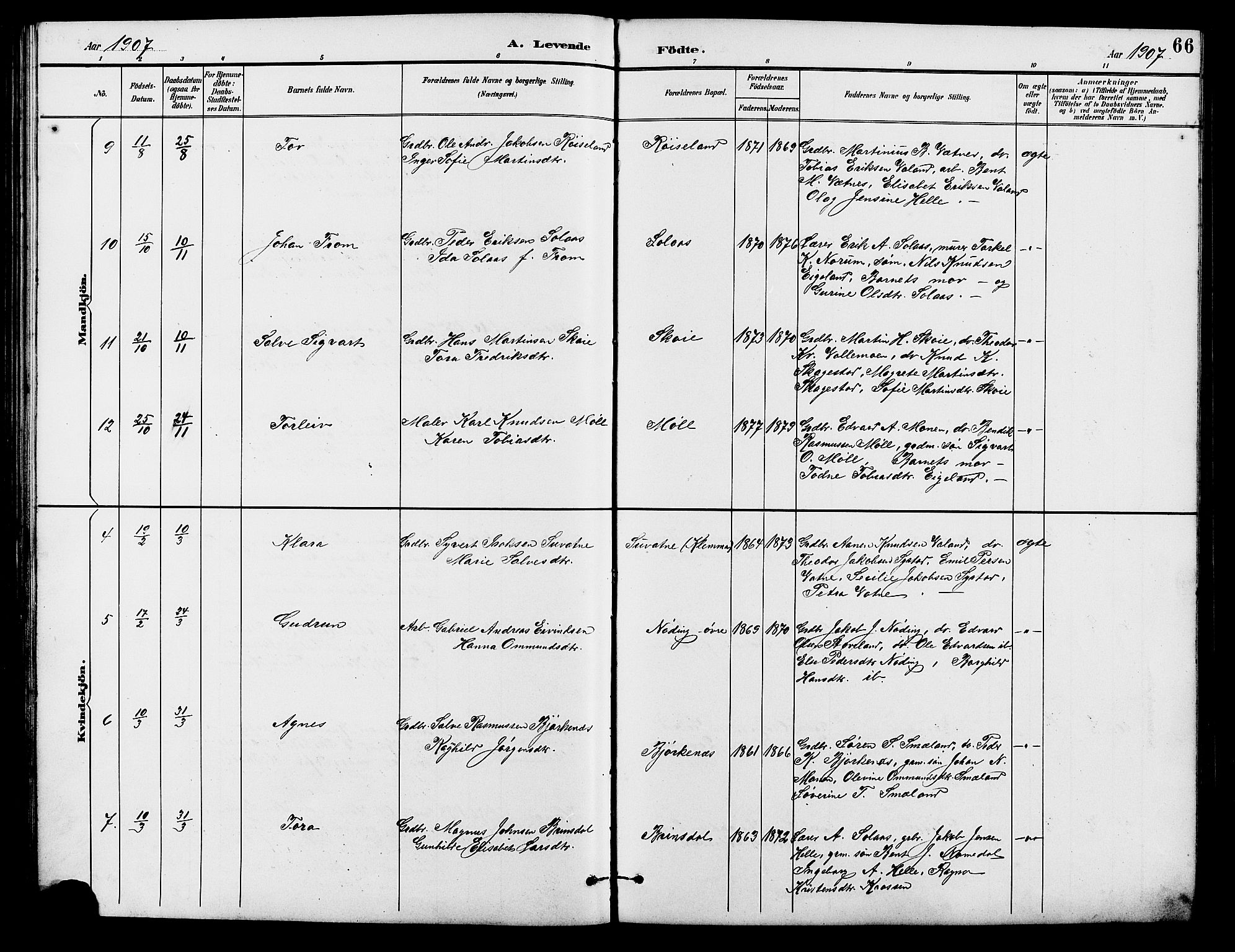 Holum sokneprestkontor, SAK/1111-0022/F/Fb/Fba/L0005: Parish register (copy) no. B 5, 1891-1909, p. 66