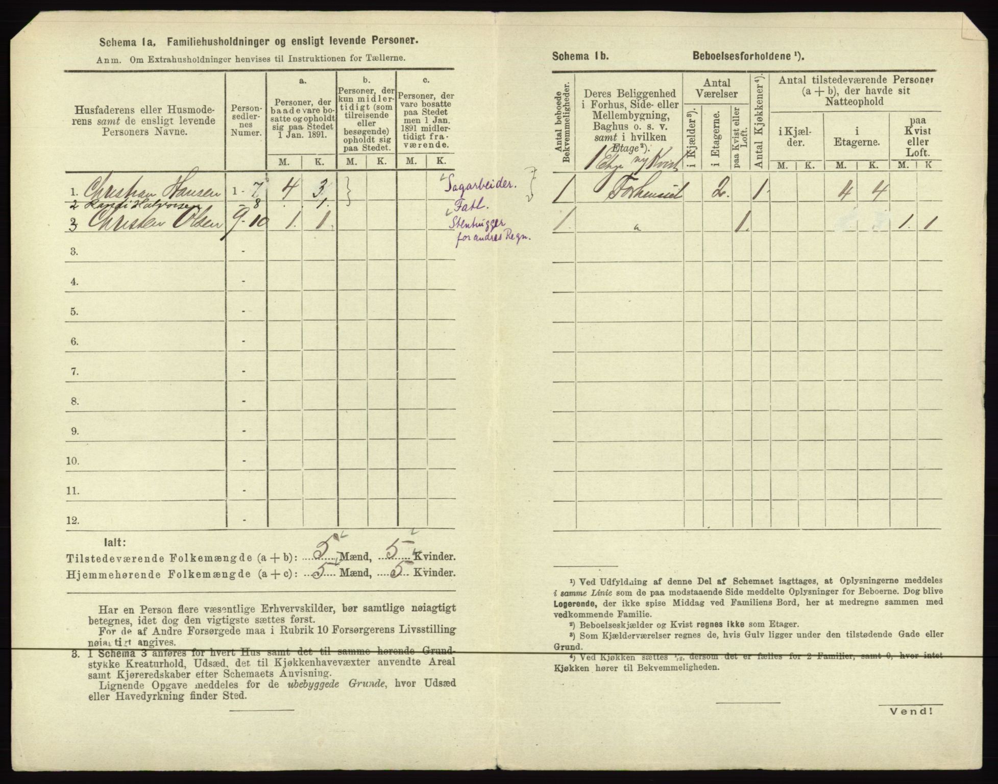 RA, 1891 census for 0602 Drammen, 1891, p. 100