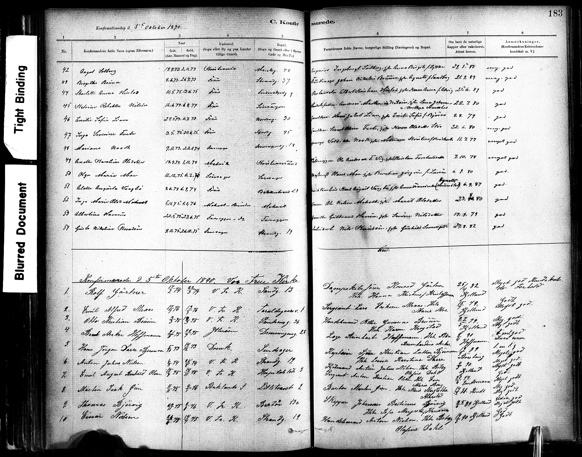 Ministerialprotokoller, klokkerbøker og fødselsregistre - Sør-Trøndelag, AV/SAT-A-1456/602/L0119: Parish register (official) no. 602A17, 1880-1901, p. 183