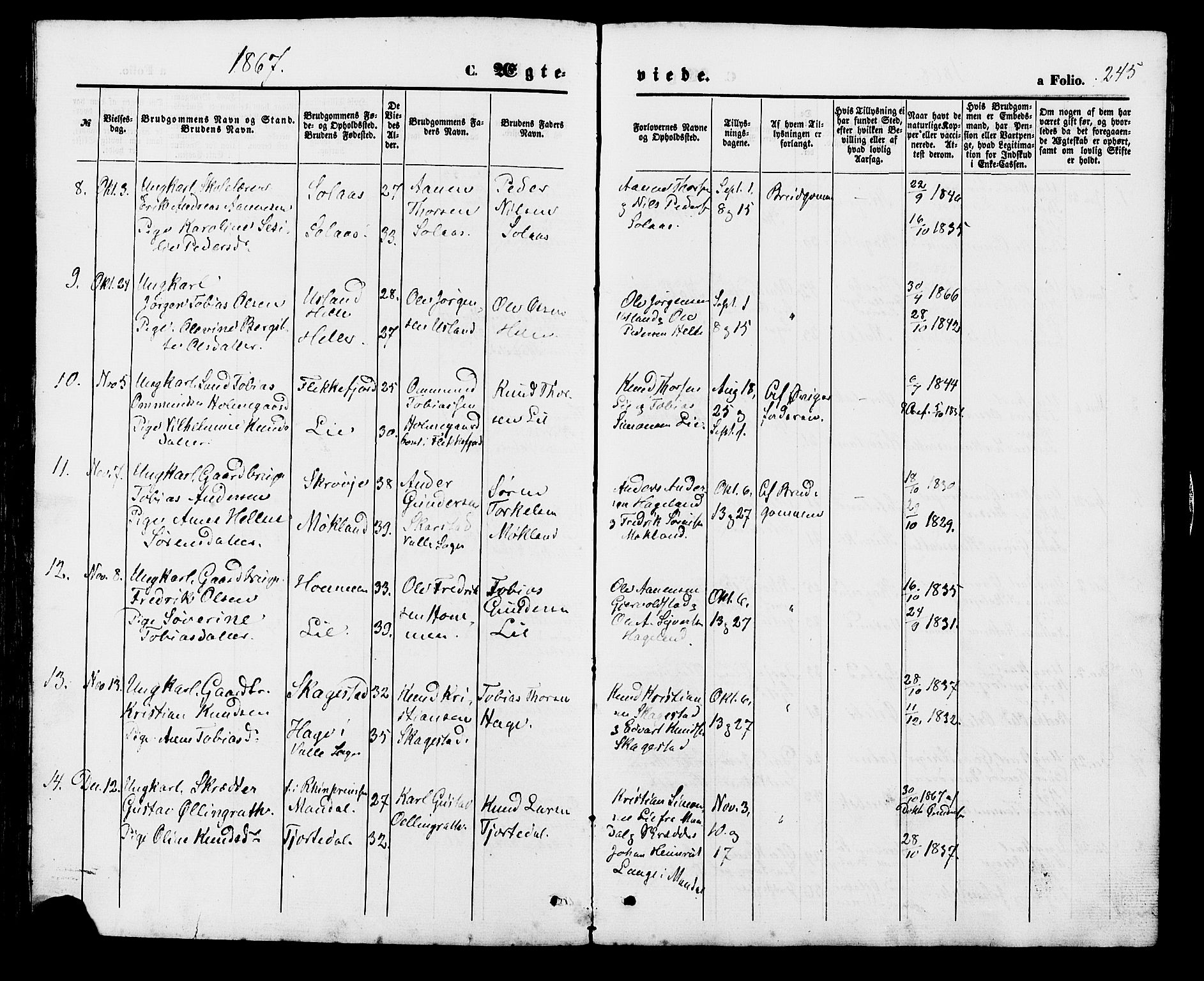 Holum sokneprestkontor, SAK/1111-0022/F/Fb/Fba/L0004: Parish register (copy) no. B 4, 1867-1890, p. 245