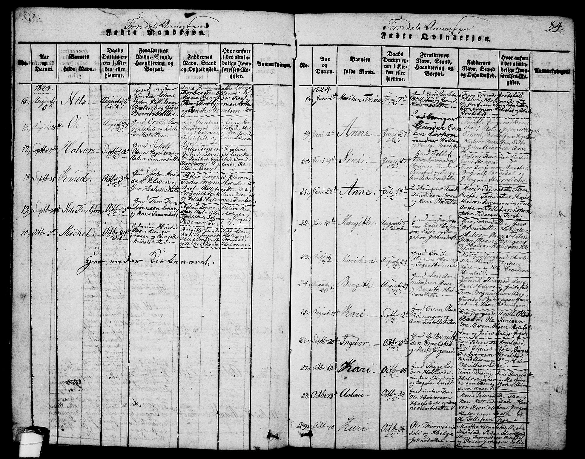 Drangedal kirkebøker, SAKO/A-258/G/Ga/L0001: Parish register (copy) no. I 1 /2, 1814-1856, p. 84