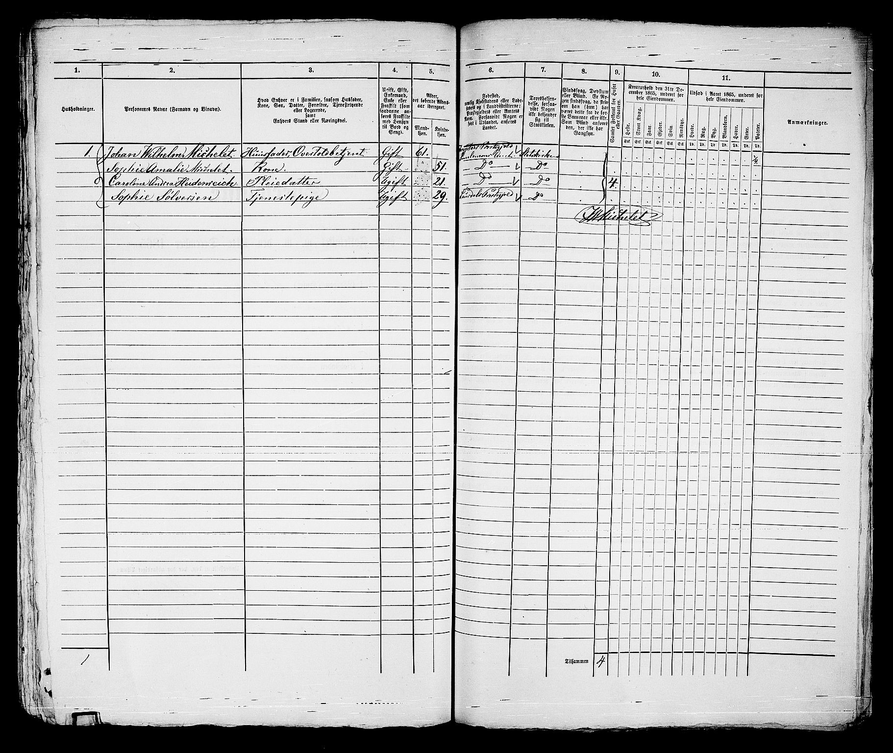 RA, 1865 census for Strømsø in Drammen, 1865, p. 540