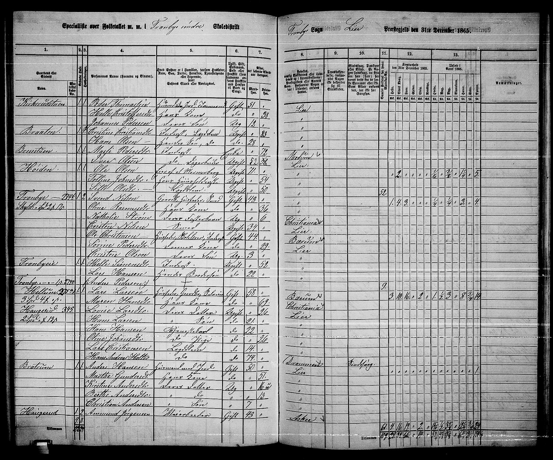 RA, 1865 census for Lier, 1865, p. 187