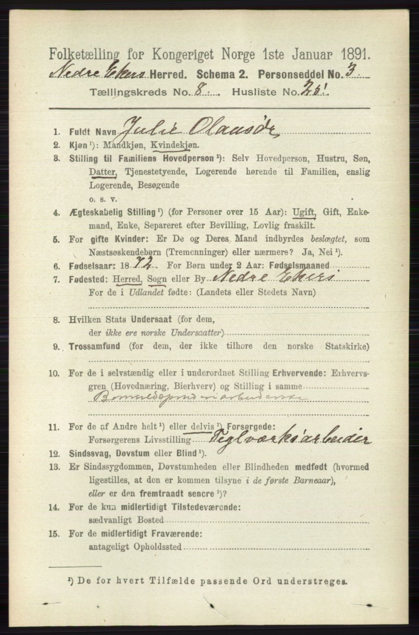 RA, 1891 census for 0625 Nedre Eiker, 1891, p. 4104