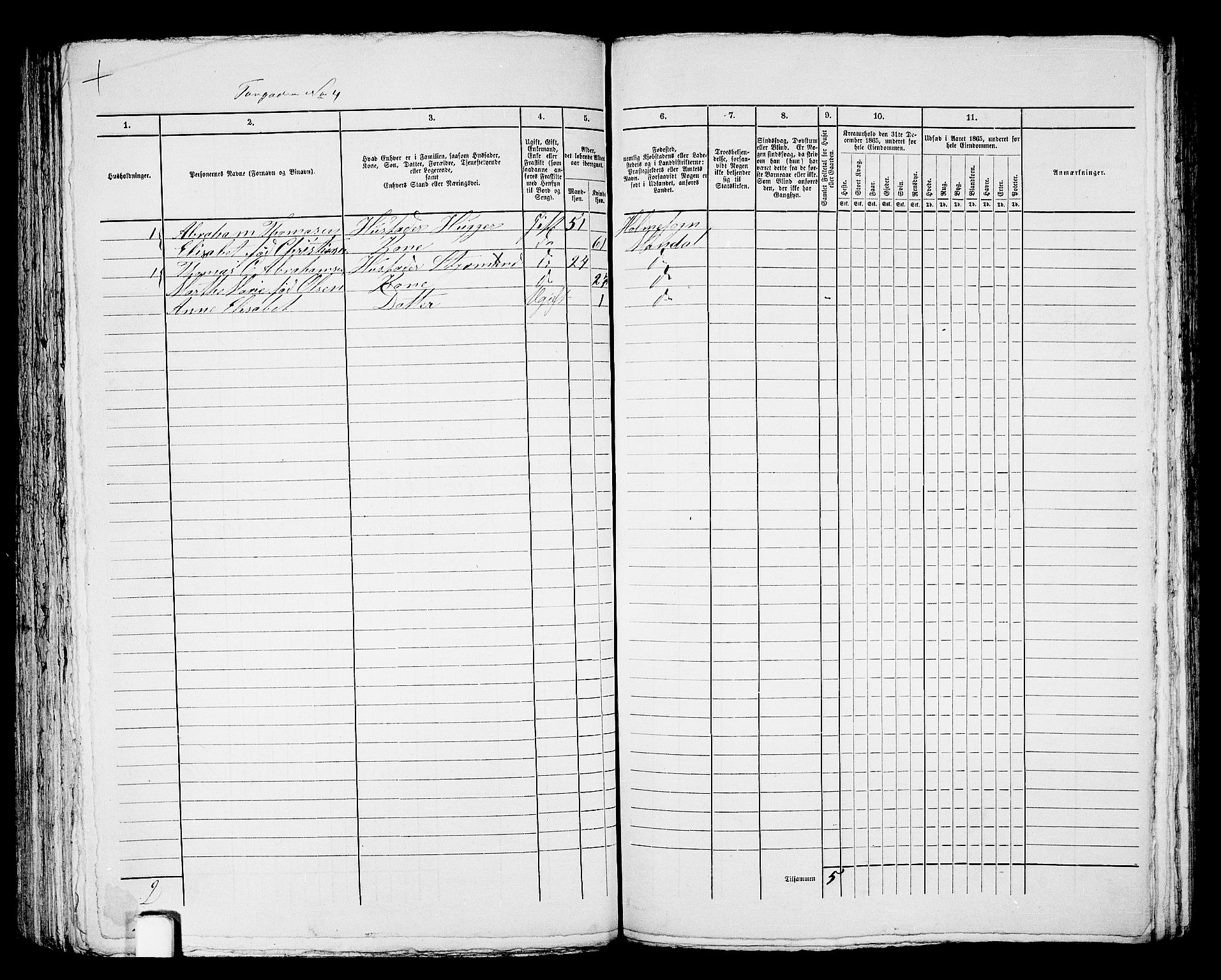 RA, 1865 census for Mandal/Mandal, 1865, p. 684