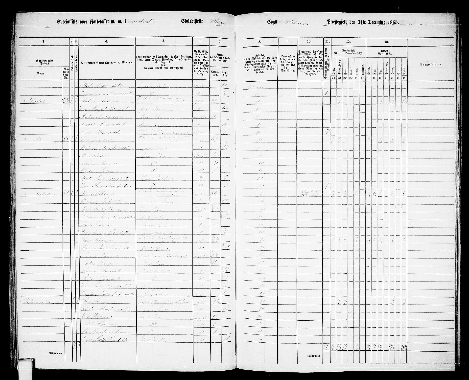 RA, 1865 census for Hedrum, 1865, p. 95