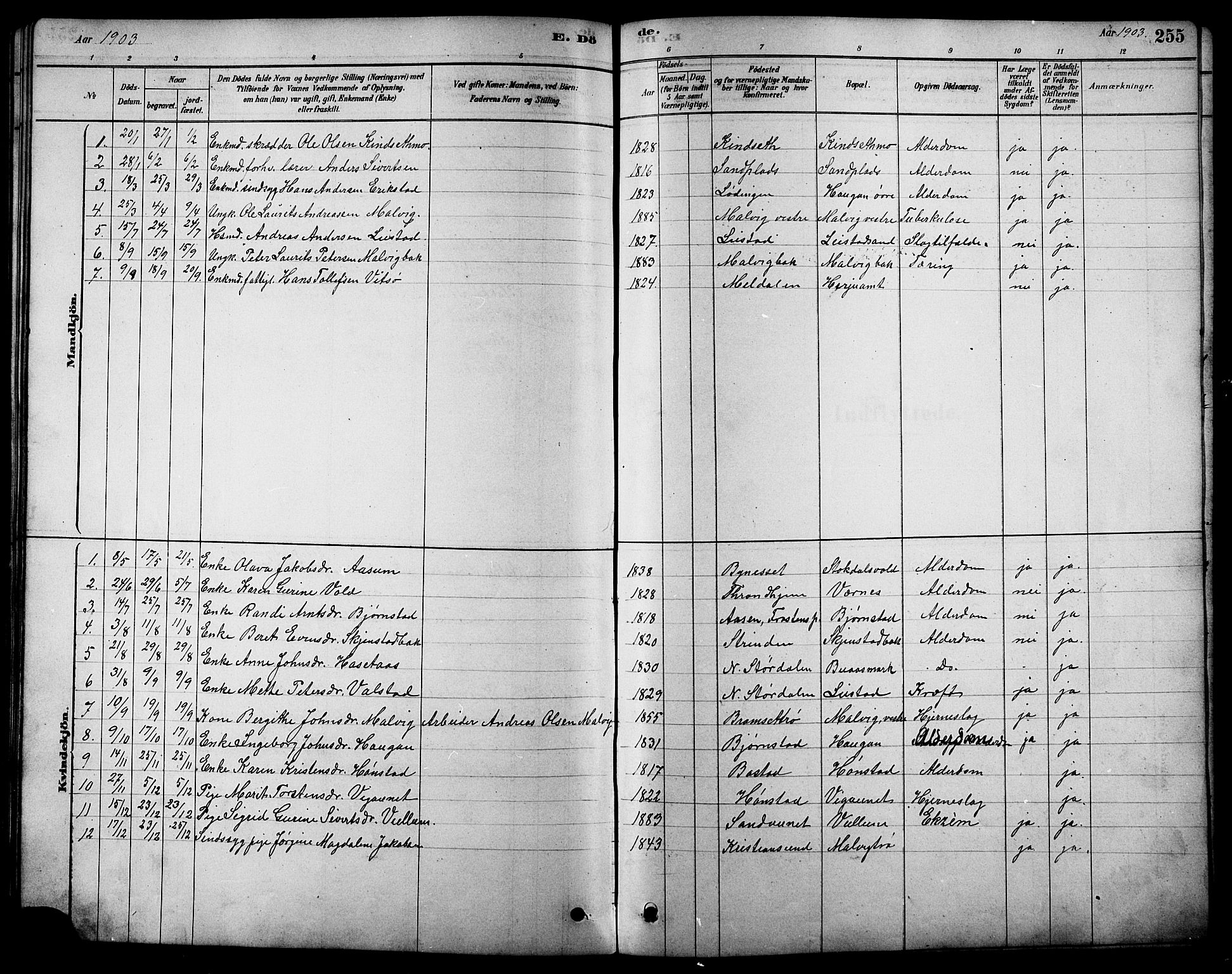 Ministerialprotokoller, klokkerbøker og fødselsregistre - Sør-Trøndelag, SAT/A-1456/616/L0423: Parish register (copy) no. 616C06, 1878-1903, p. 255
