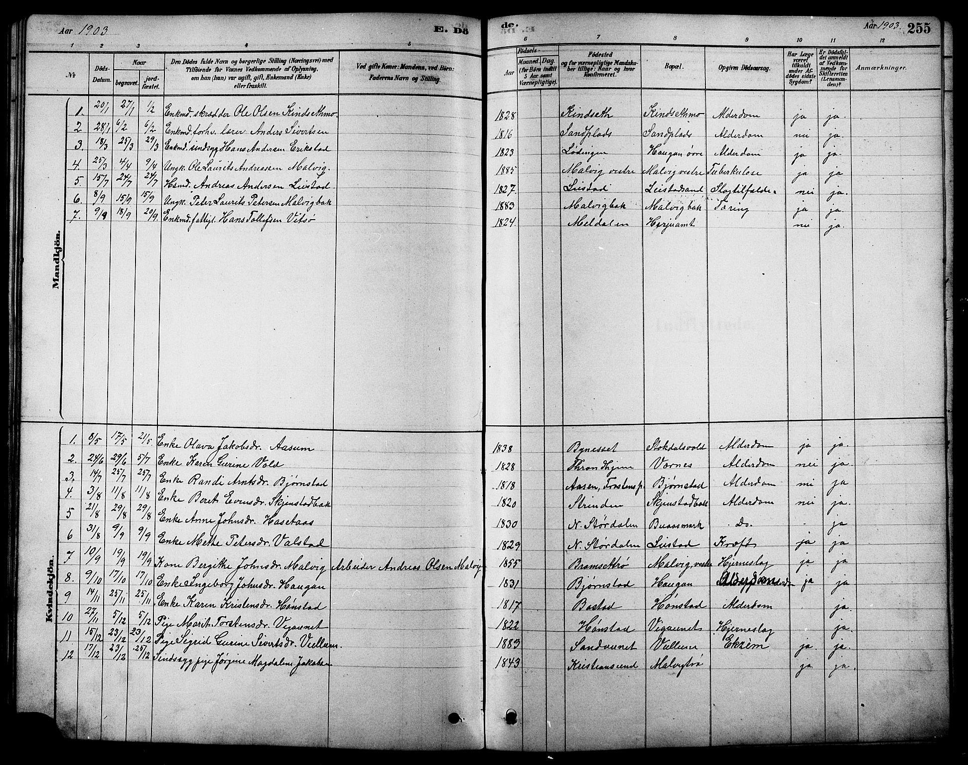 Ministerialprotokoller, klokkerbøker og fødselsregistre - Sør-Trøndelag, AV/SAT-A-1456/616/L0423: Parish register (copy) no. 616C06, 1878-1903, p. 255
