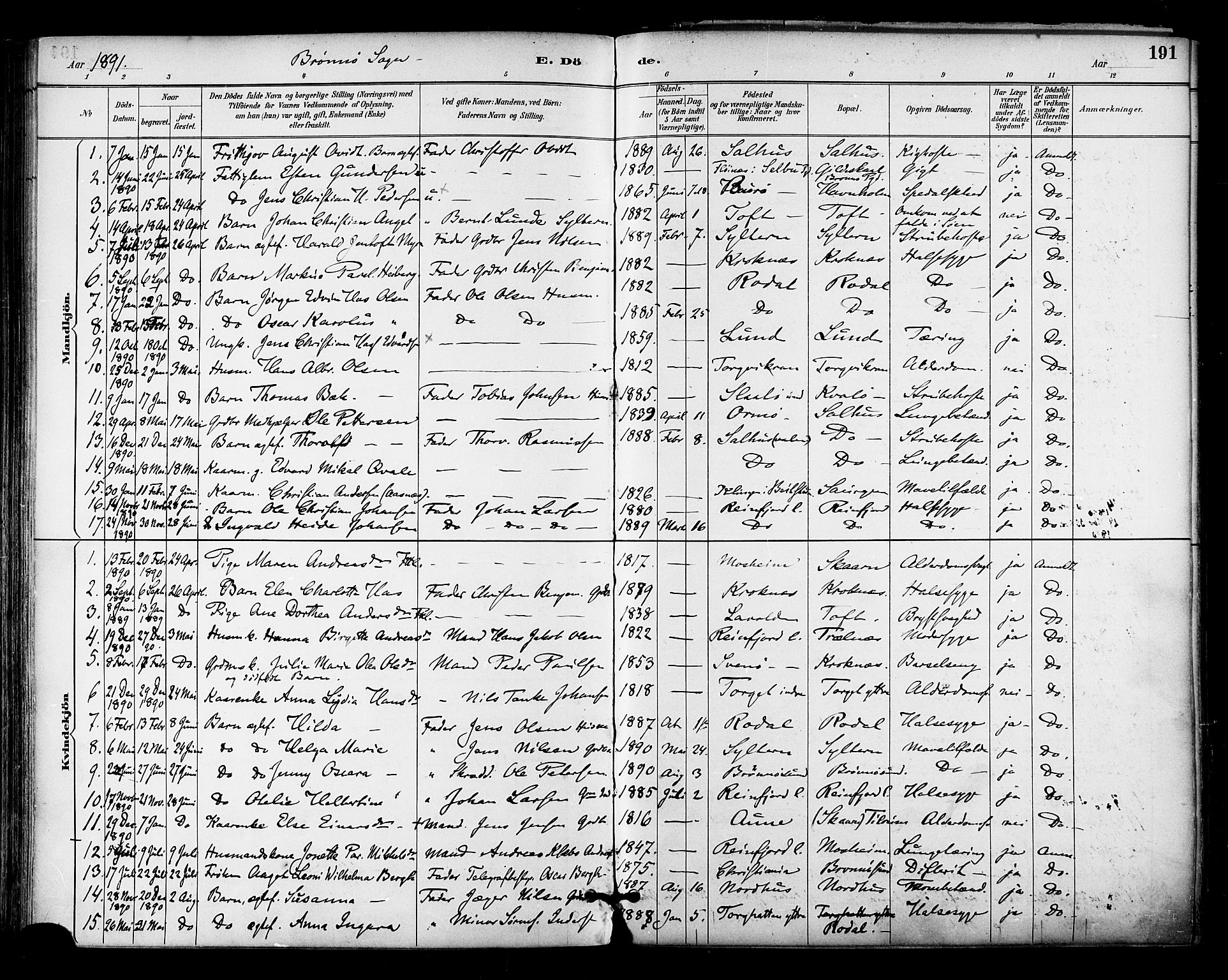 Ministerialprotokoller, klokkerbøker og fødselsregistre - Nordland, SAT/A-1459/813/L0200: Parish register (official) no. 813A10, 1886-1900, p. 191