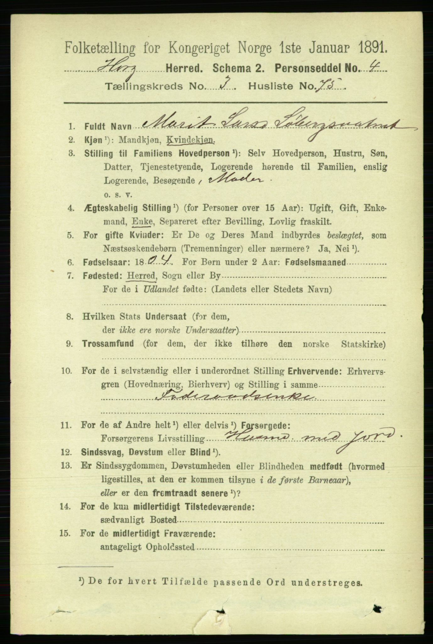 RA, 1891 census for 1650 Horg, 1891, p. 1501