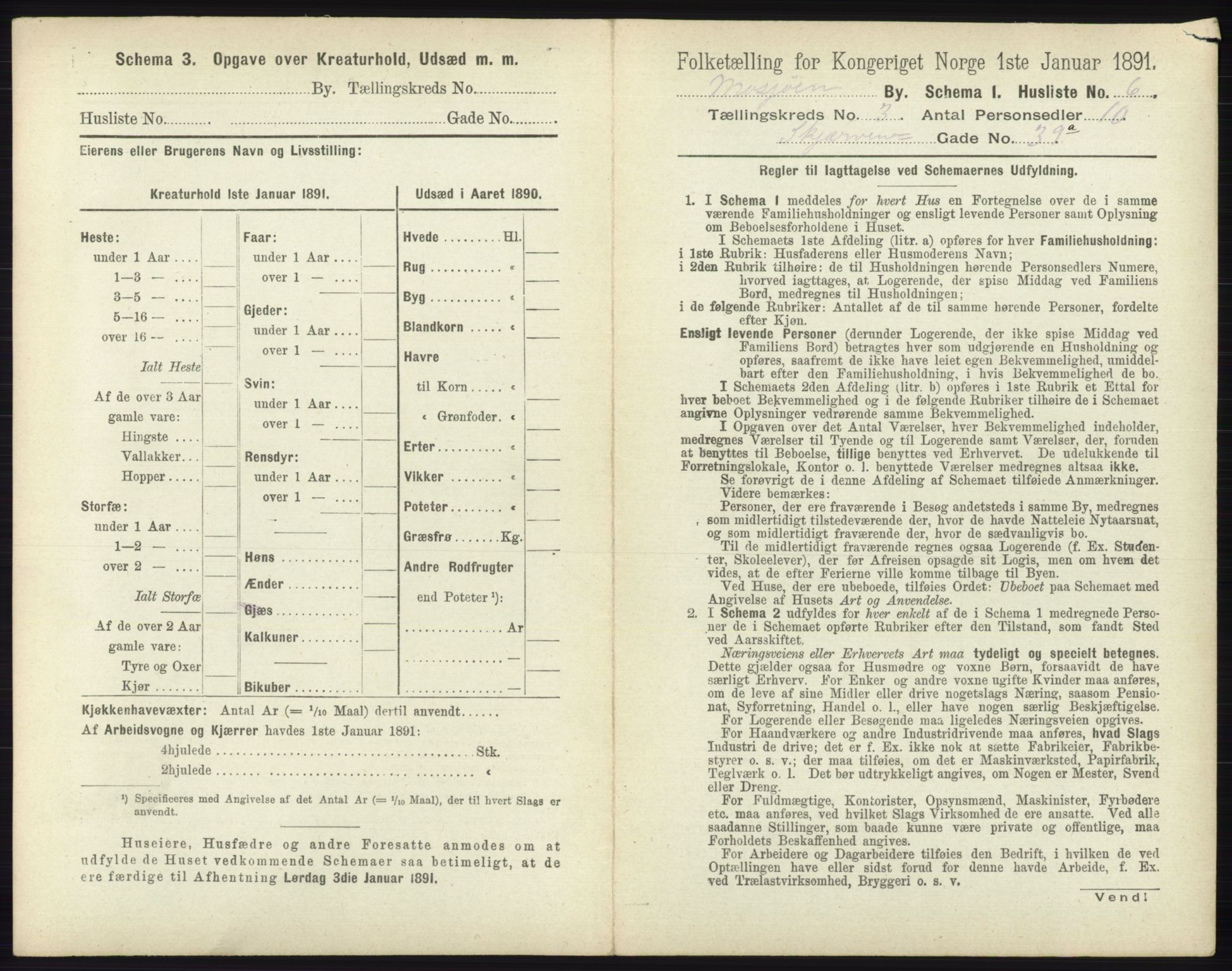 RA, 1891 census for 1802 Mosjøen, 1891, p. 1138