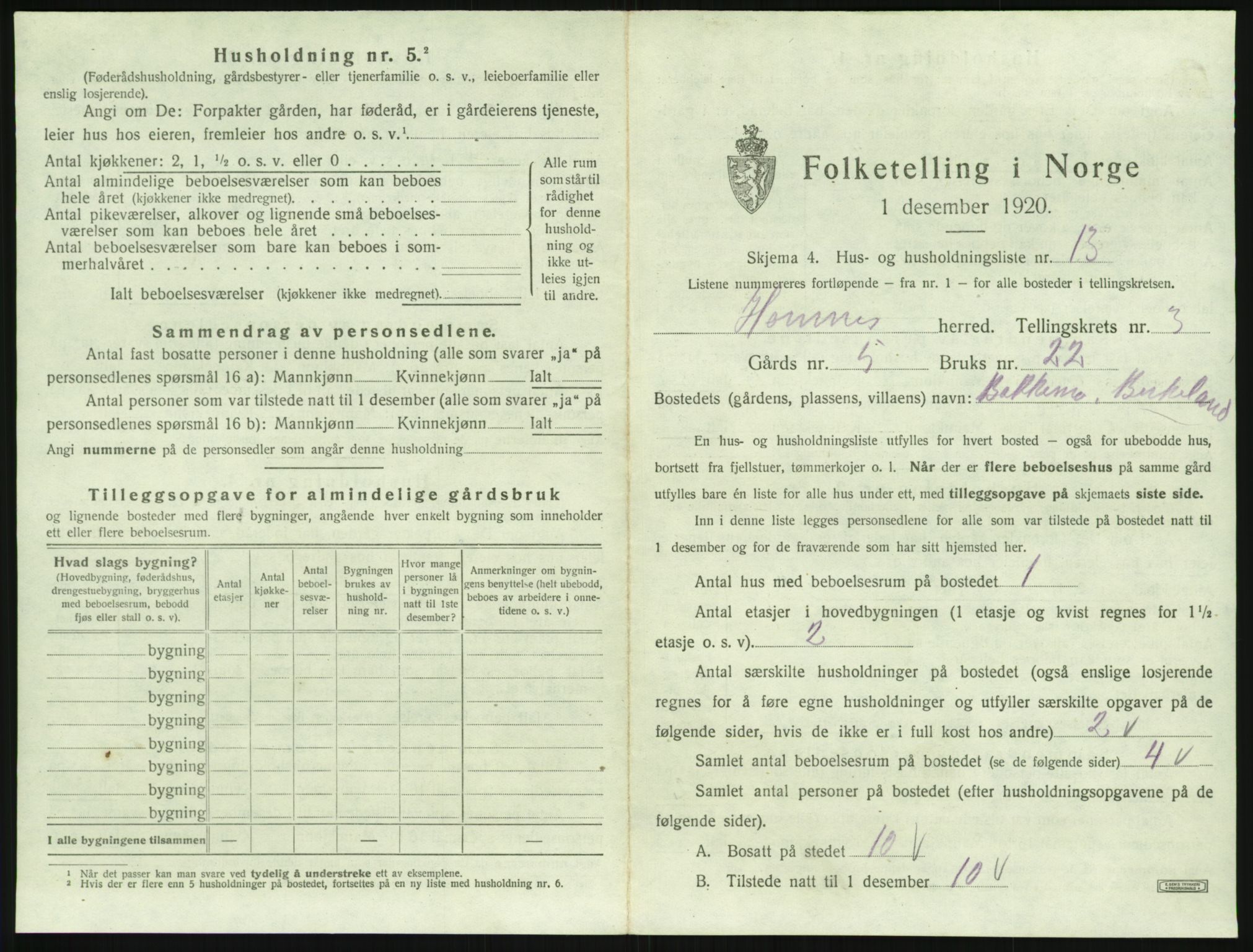 SAK, 1920 census for Hornnes, 1920, p. 141