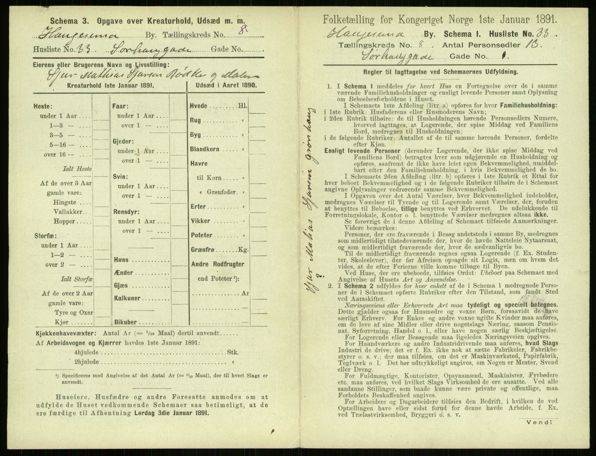 RA, 1891 census for 1106 Haugesund, 1891, p. 637