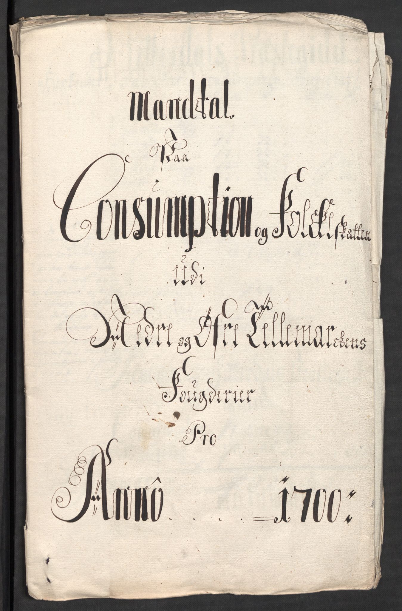 Rentekammeret inntil 1814, Reviderte regnskaper, Fogderegnskap, AV/RA-EA-4092/R36/L2104: Fogderegnskap Øvre og Nedre Telemark og Bamble, 1700, p. 13