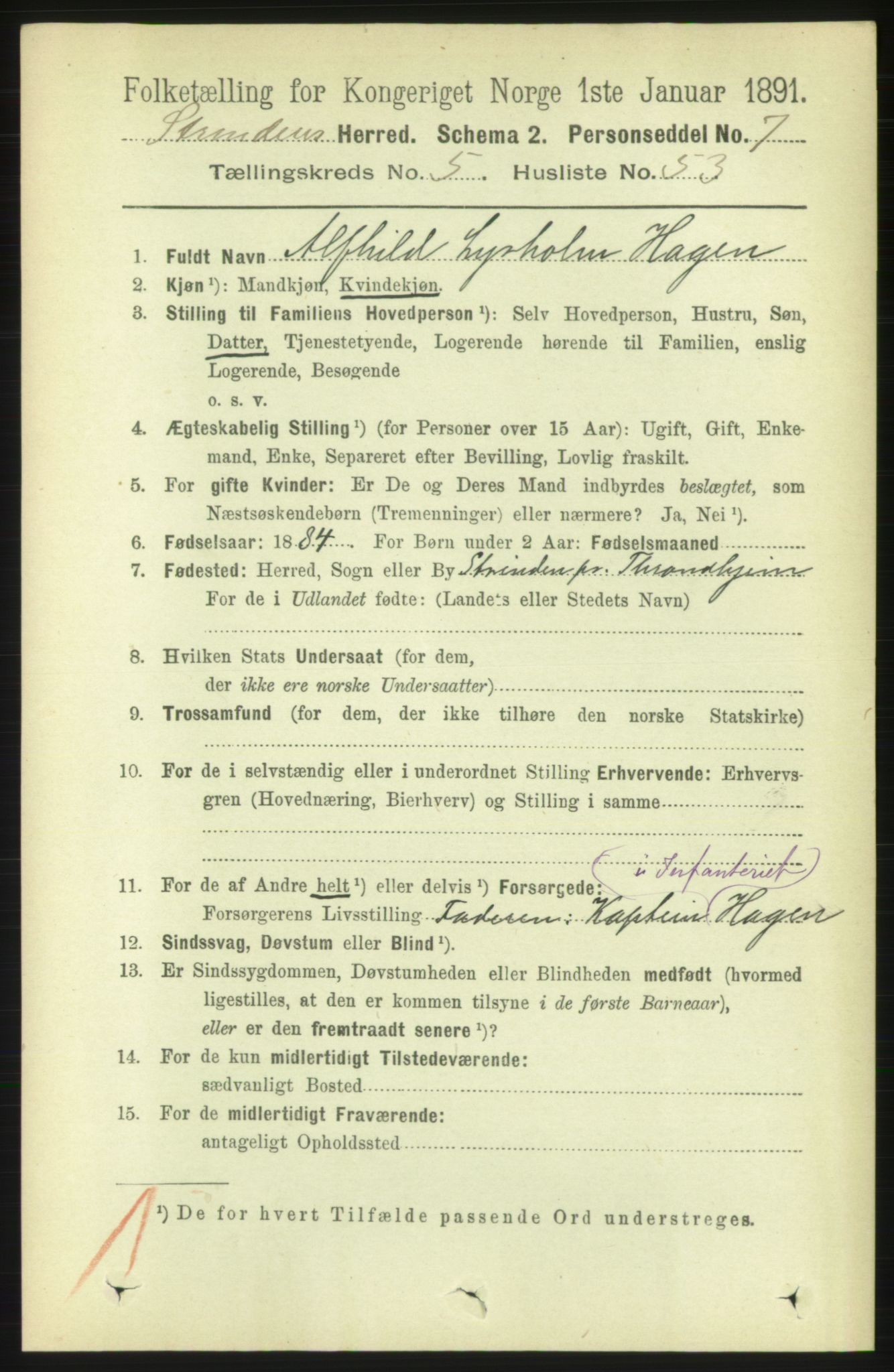 RA, 1891 census for 1660 Strinda, 1891, p. 5006