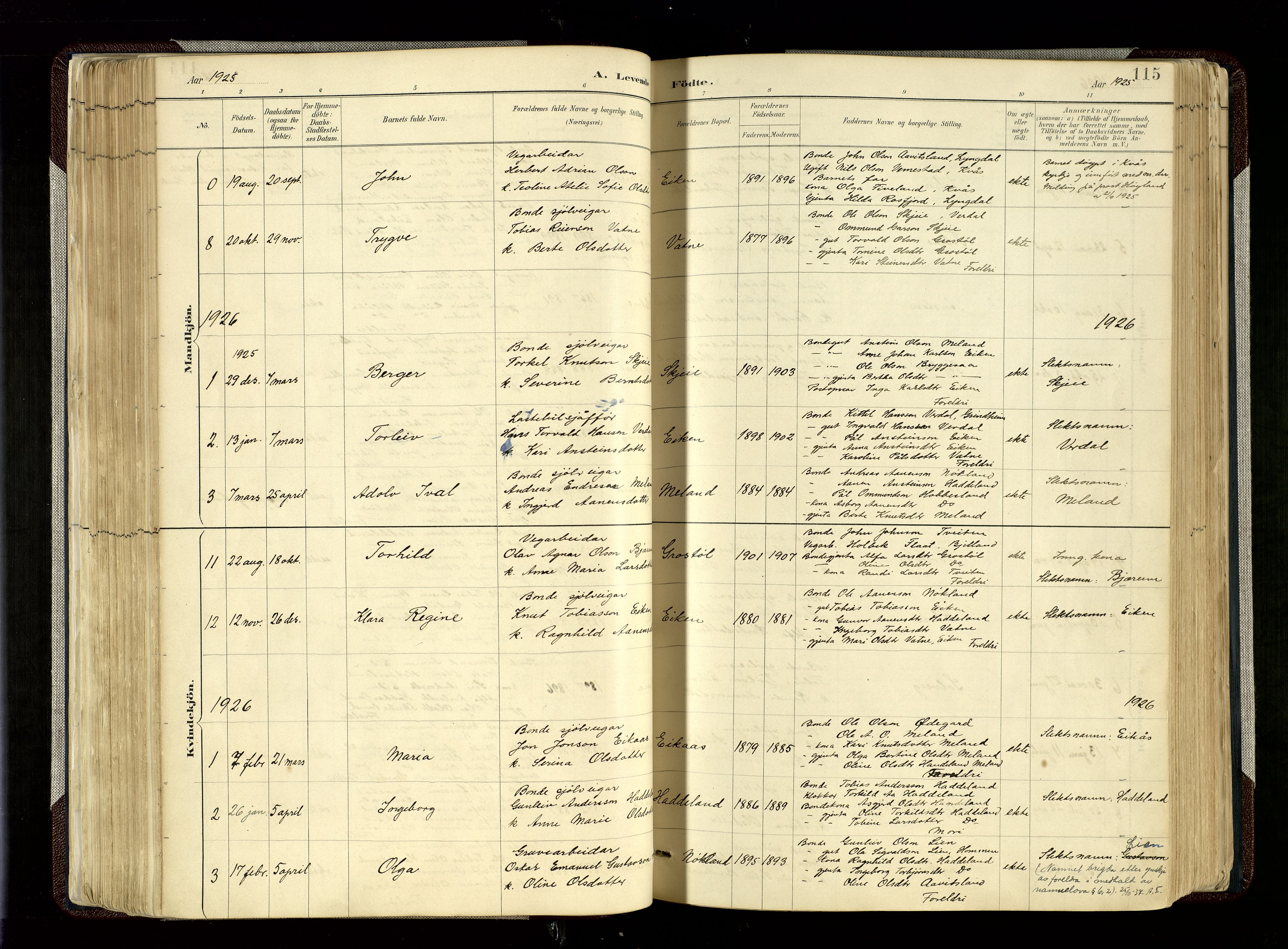 Hægebostad sokneprestkontor, SAK/1111-0024/F/Fa/Fab/L0004: Parish register (official) no. A 4, 1887-1929, p. 115