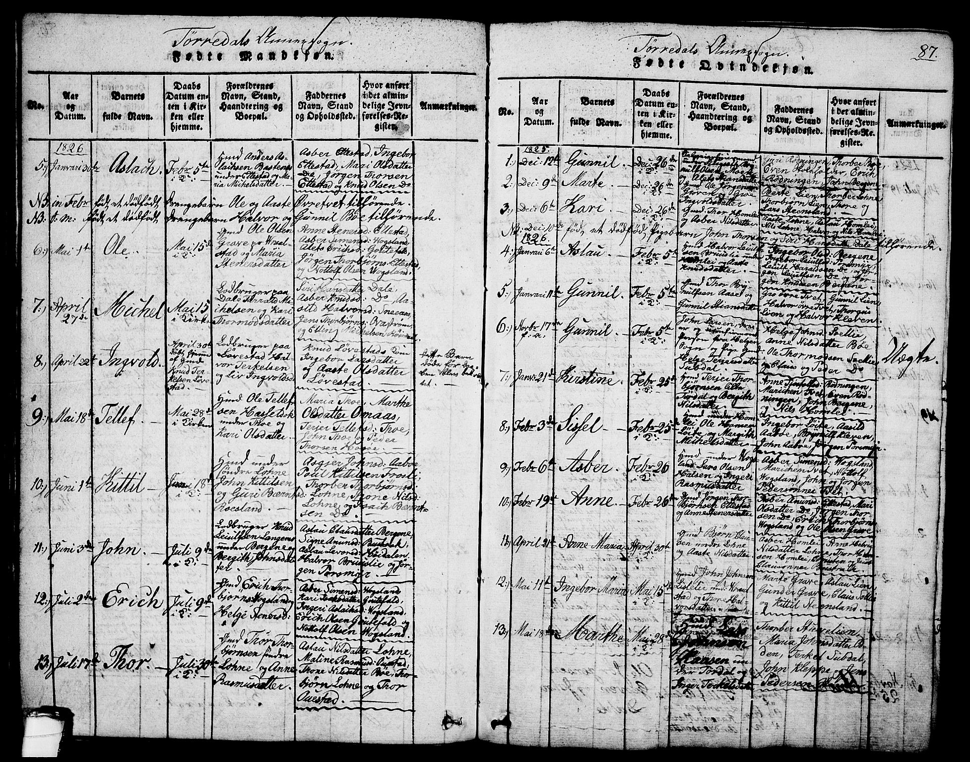 Drangedal kirkebøker, SAKO/A-258/G/Ga/L0001: Parish register (copy) no. I 1 /2, 1814-1856, p. 87