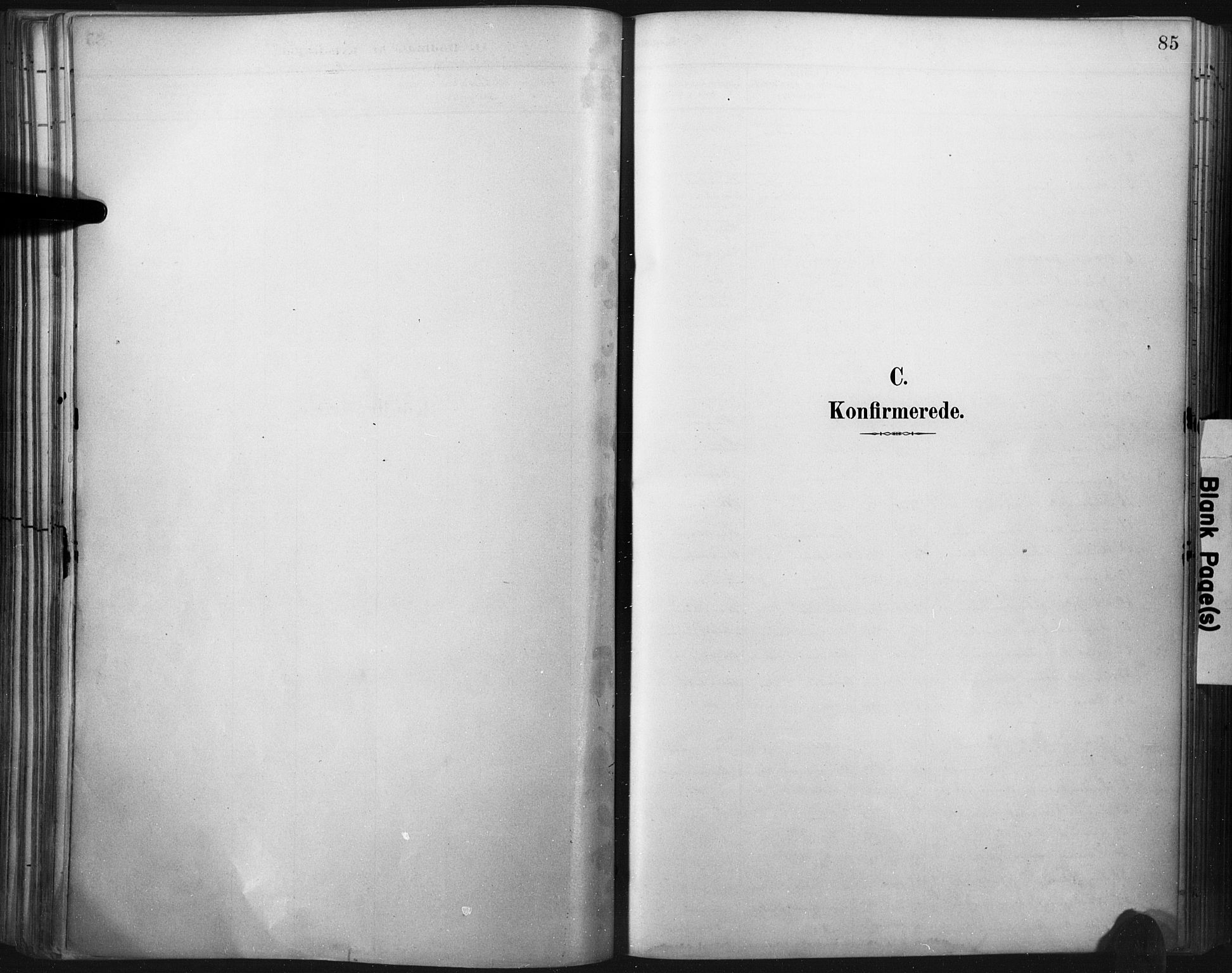 Flekkefjord sokneprestkontor, SAK/1111-0012/F/Fa/Fac/L0008: Parish register (official) no. A 8, 1885-1898, p. 85