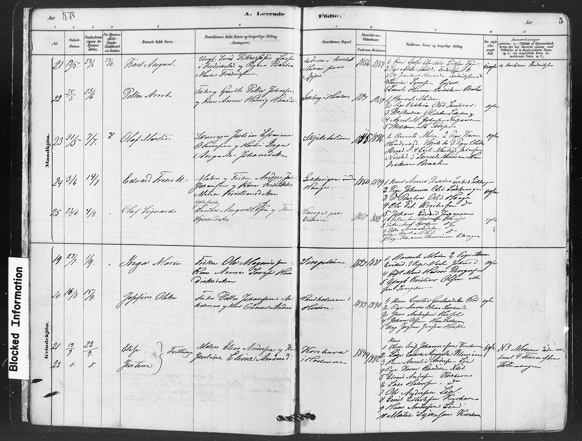 Hvaler prestekontor Kirkebøker, AV/SAO-A-2001/F/Fa/L0008: Parish register (official) no. I 8, 1878-1895, p. 5