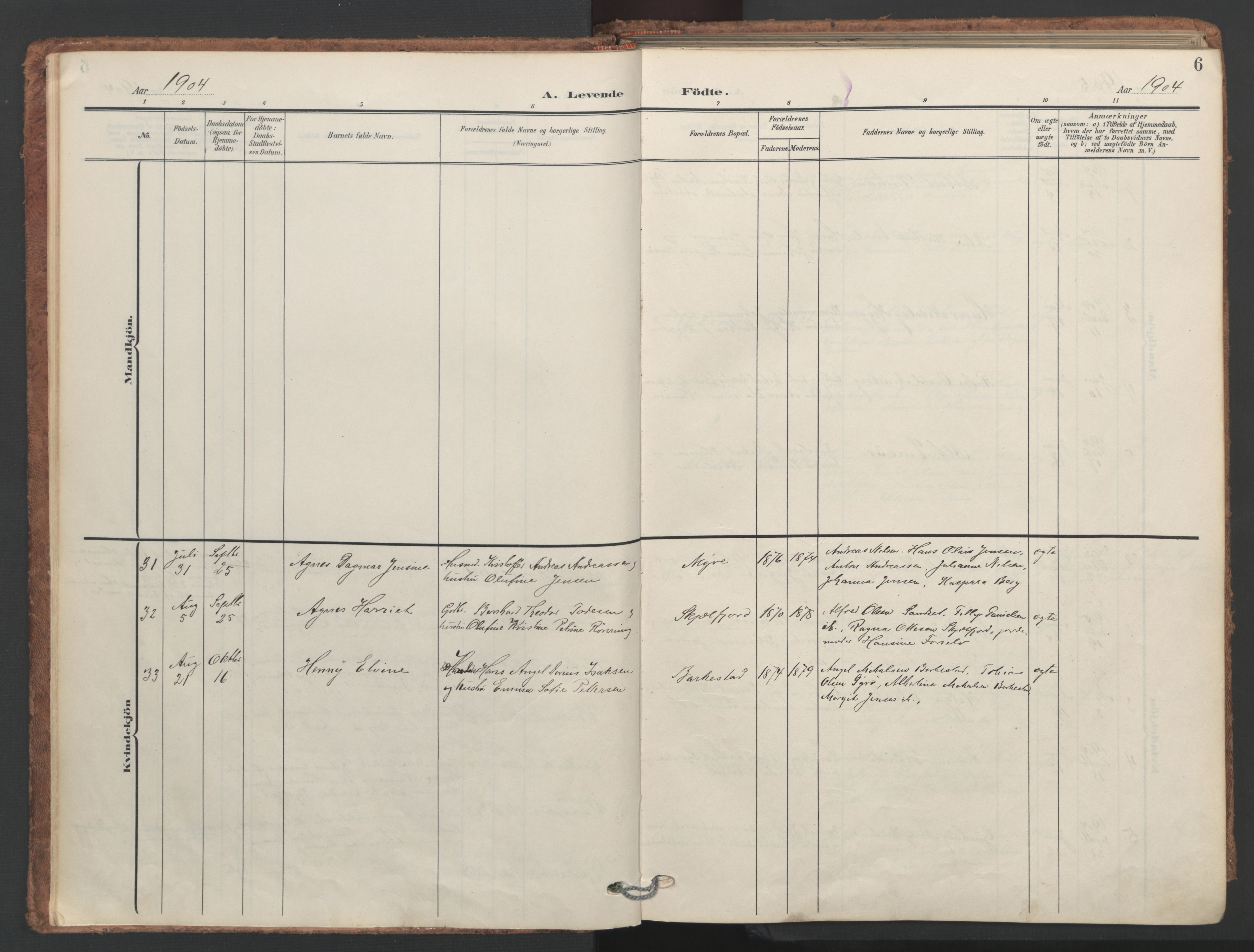 Ministerialprotokoller, klokkerbøker og fødselsregistre - Nordland, SAT/A-1459/893/L1339: Parish register (official) no. 893A11, 1904-1914, p. 6