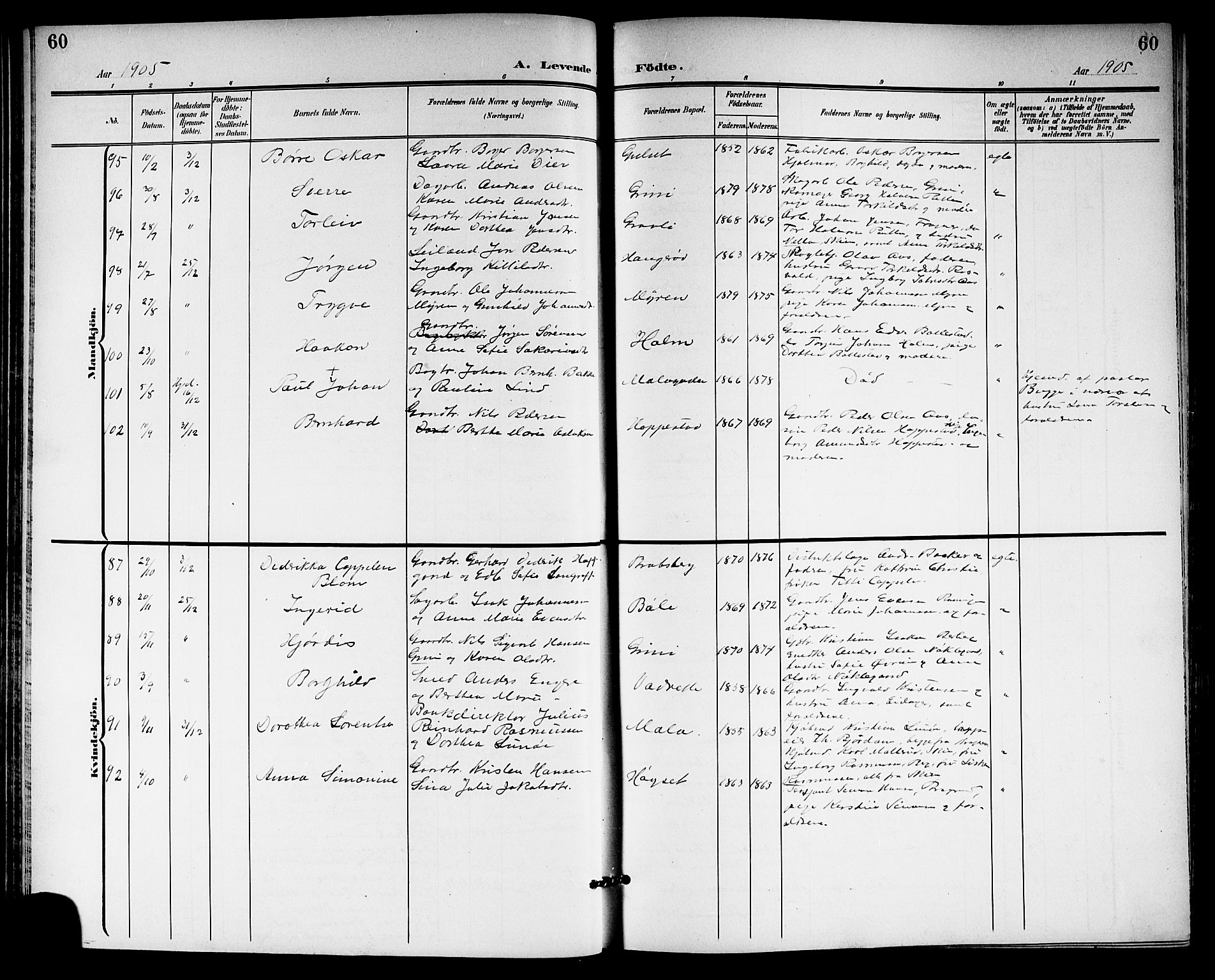 Gjerpen kirkebøker, SAKO/A-265/G/Ga/L0003: Parish register (copy) no. I 3, 1901-1919, p. 60