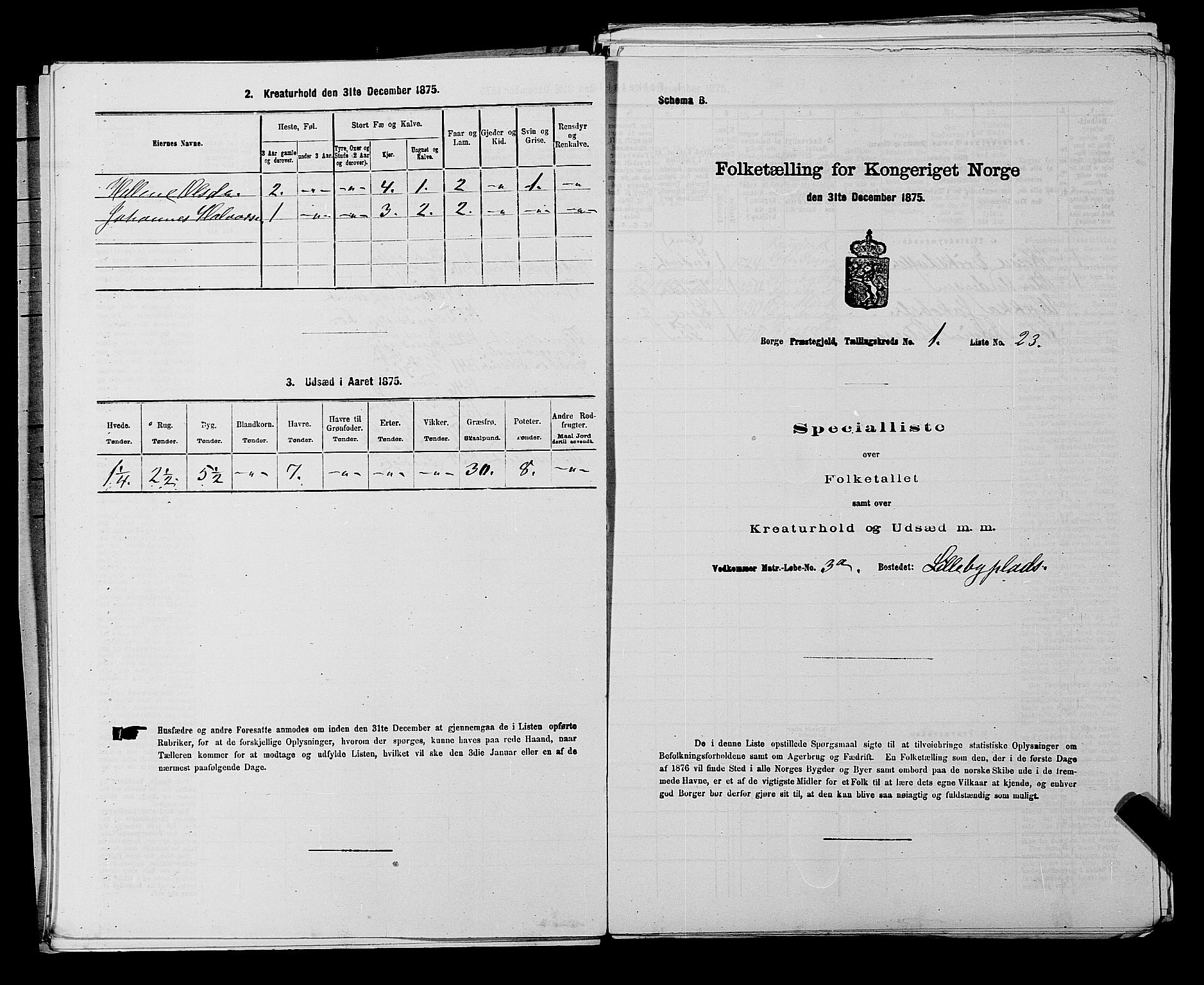 RA, 1875 census for 0113P Borge, 1875, p. 75