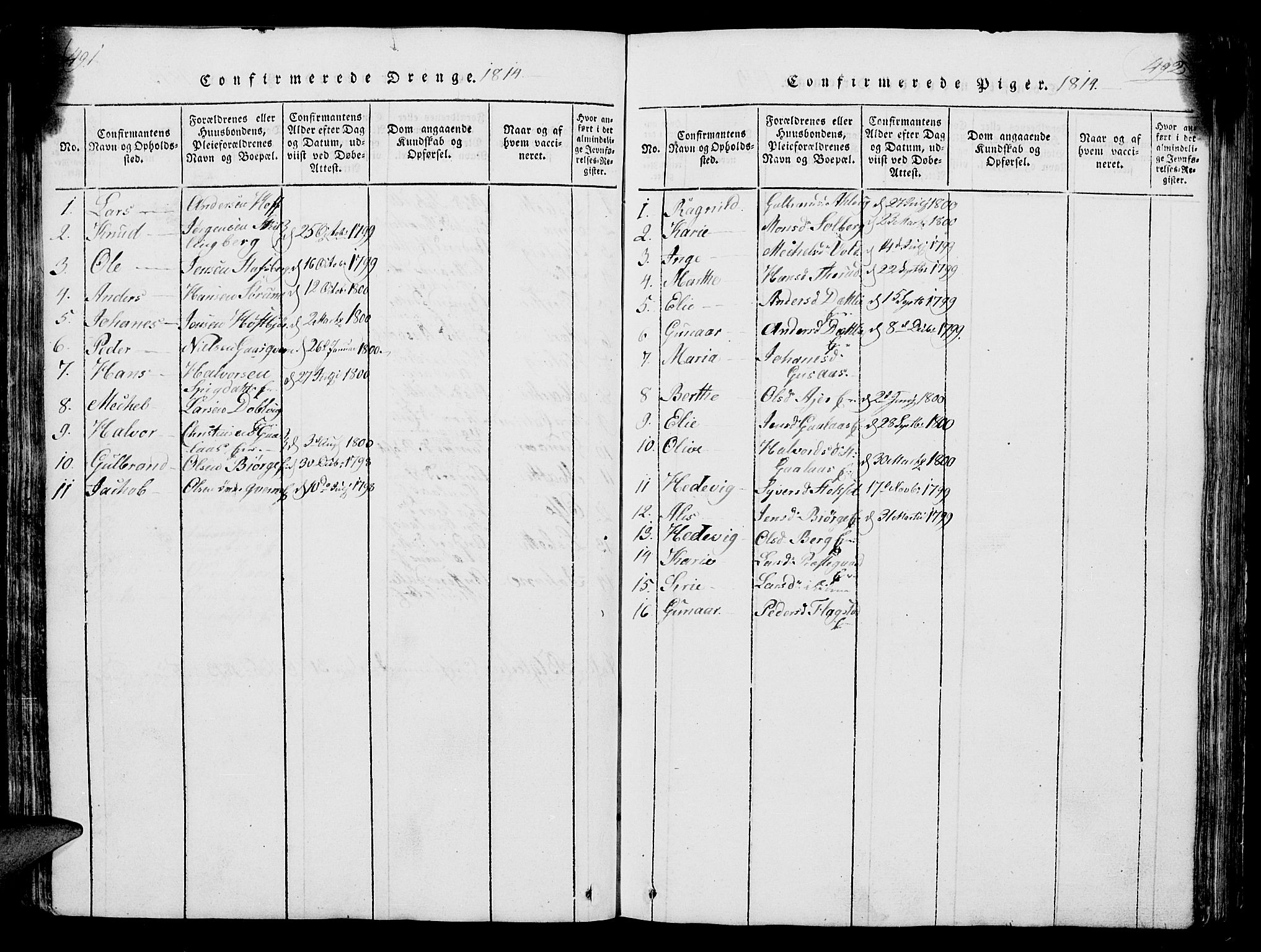 Vang prestekontor, Hedmark, SAH/PREST-008/H/Ha/Hab/L0004: Parish register (copy) no. 4, 1813-1827, p. 491-492