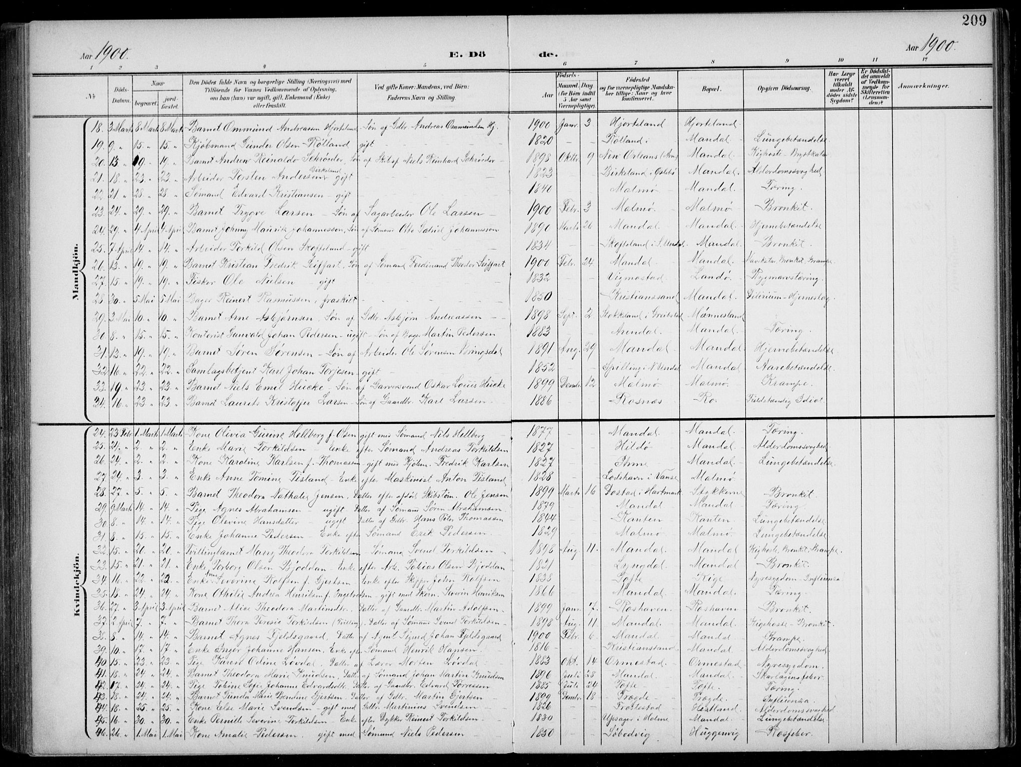 Mandal sokneprestkontor, AV/SAK-1111-0030/F/Fb/Fba/L0012: Parish register (copy) no. B 6, 1899-1918, p. 209