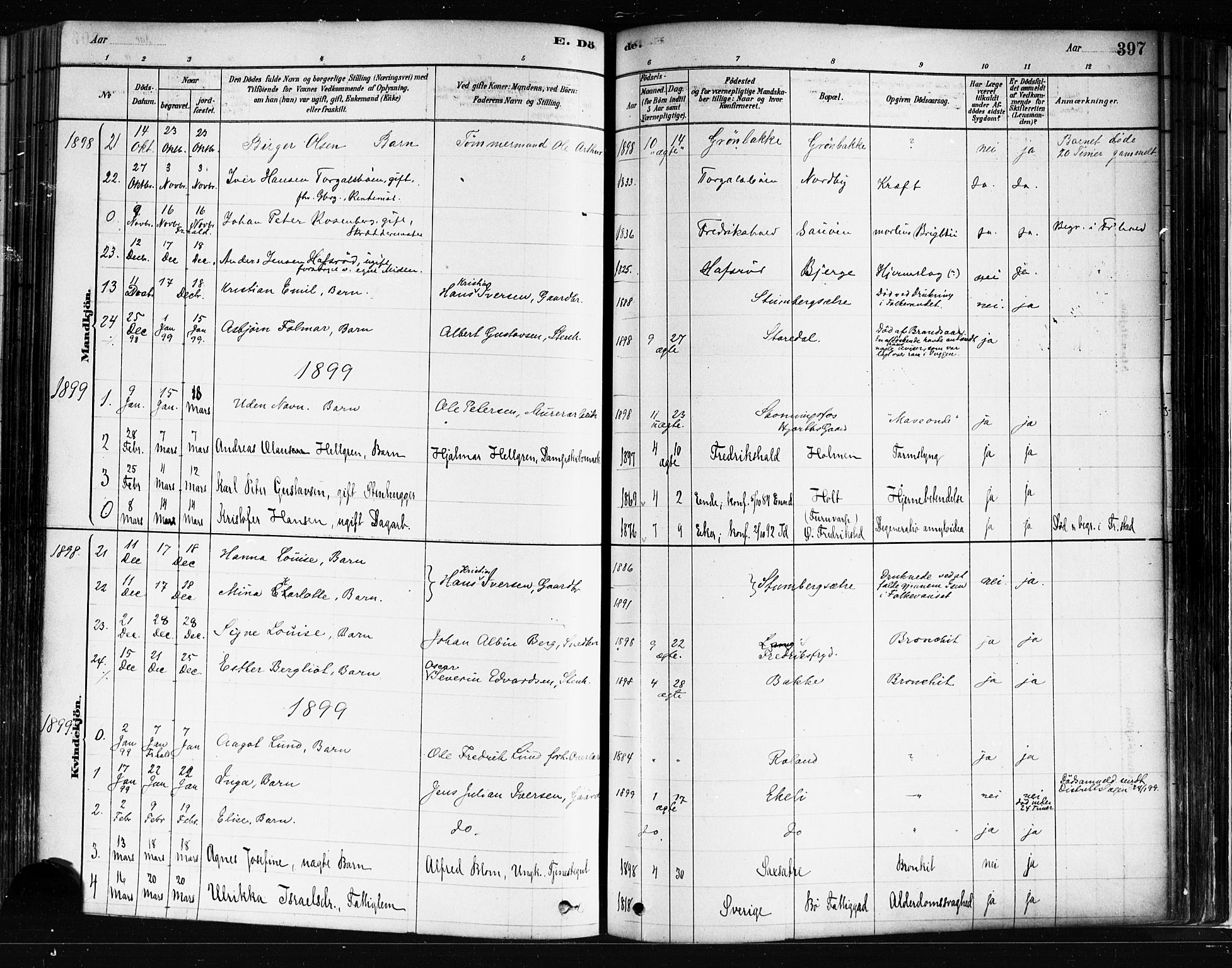 Idd prestekontor Kirkebøker, SAO/A-10911/F/Fc/L0006b: Parish register (official) no. III 6B, 1878-1903, p. 397